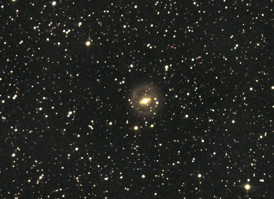 NGC 2217 - lentikuläre Ringgalaxie im Großen Hund
