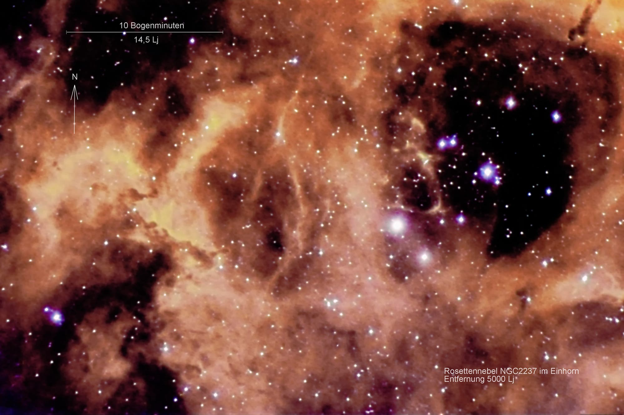 Rosettennebel NGC 2237 mit offenem Sternhaufen NGC 2244