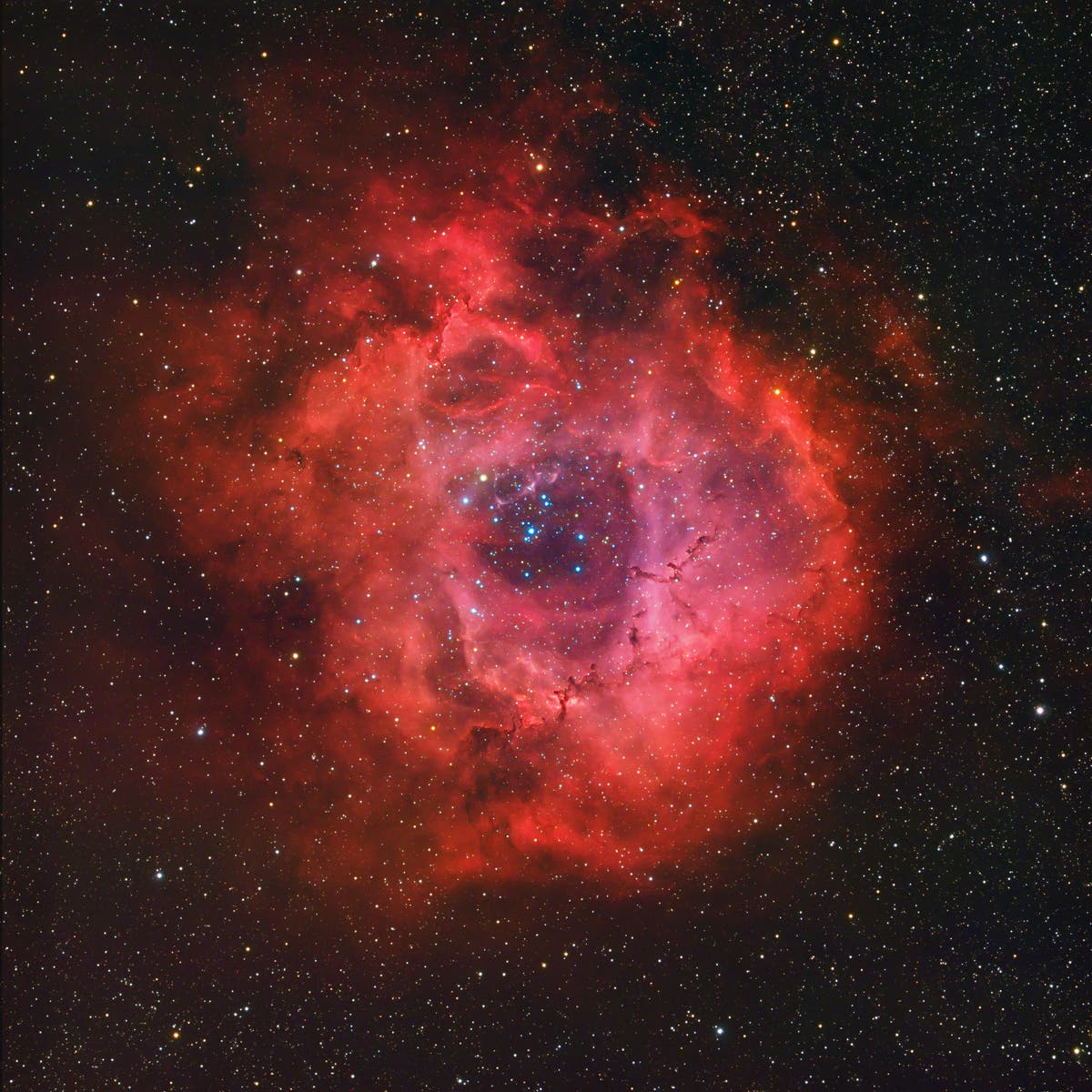 NGC 2237 / NGC 2244 -  Rosettennebel