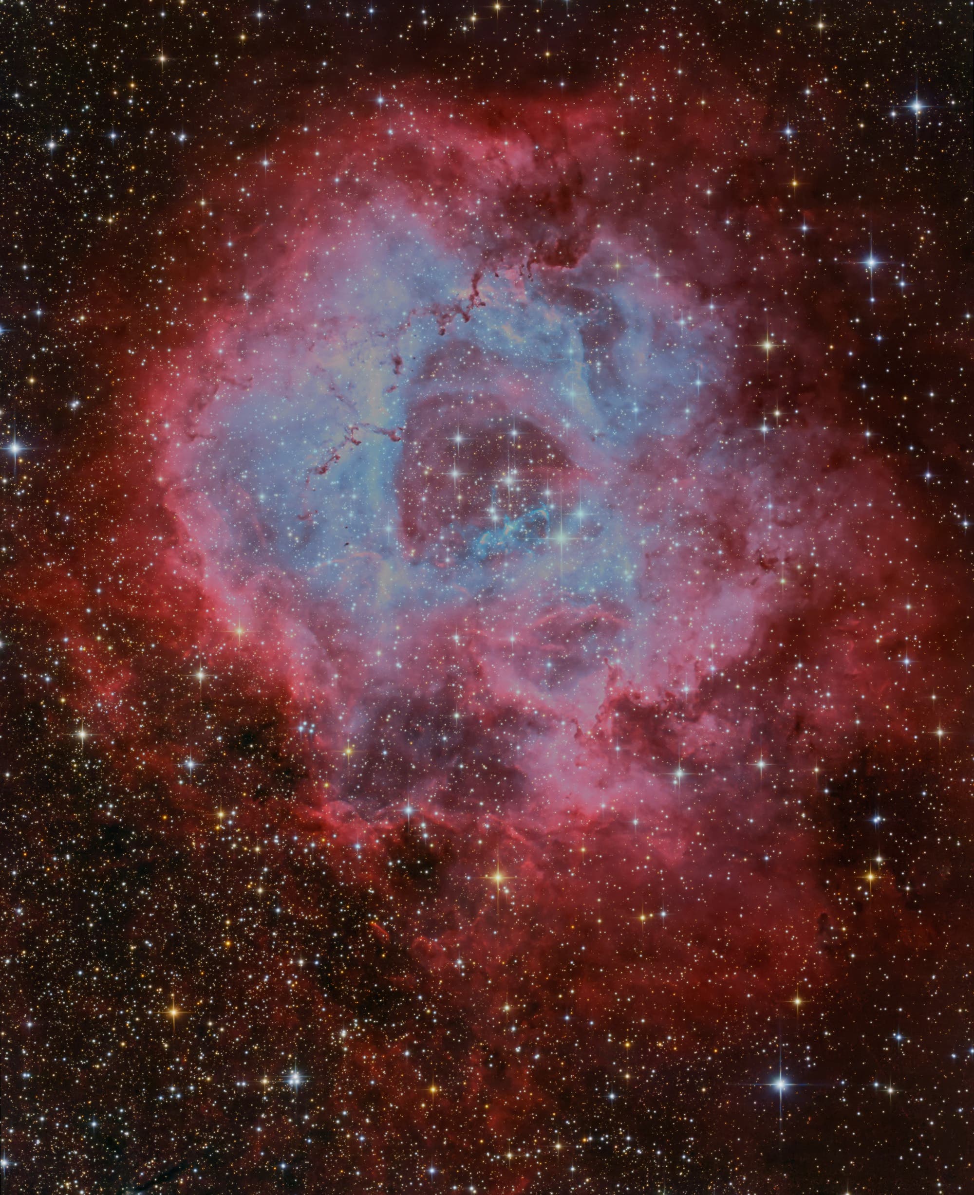 NGC 2238 Rosettennebel Mosaik (RGB+DNB)