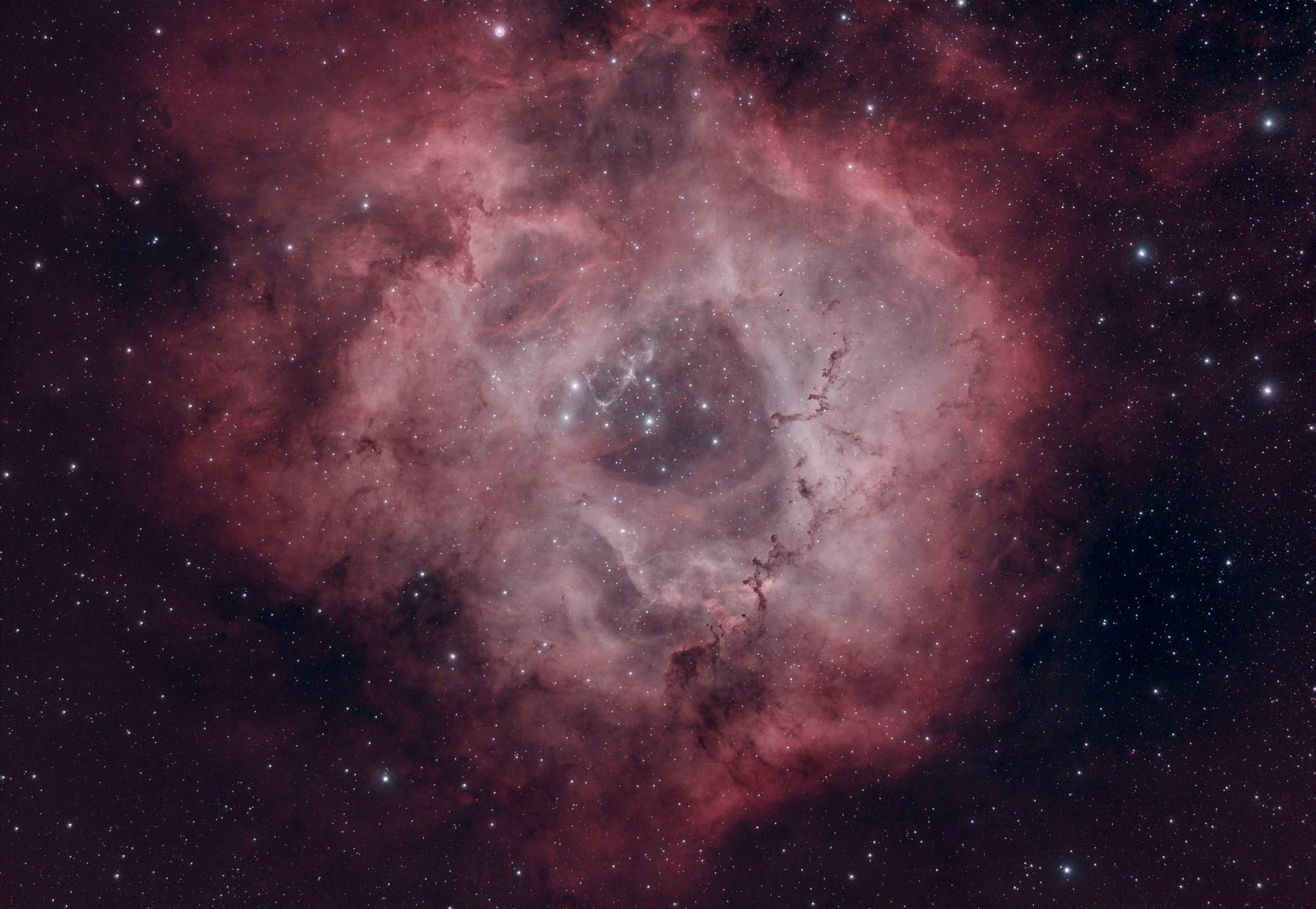 NGC 2238 - ein tiefer Blick