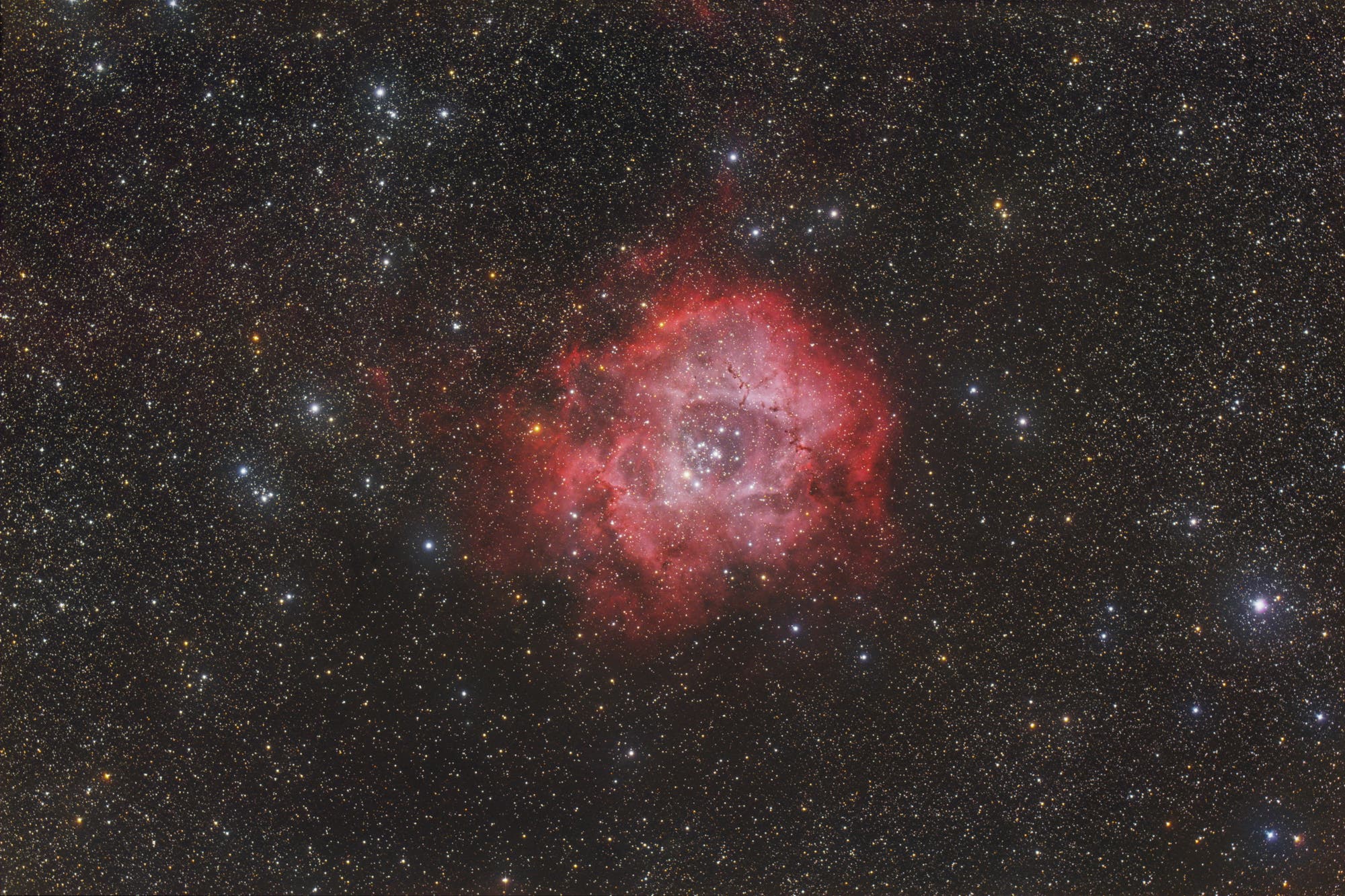 NGC 2244 im Widefield