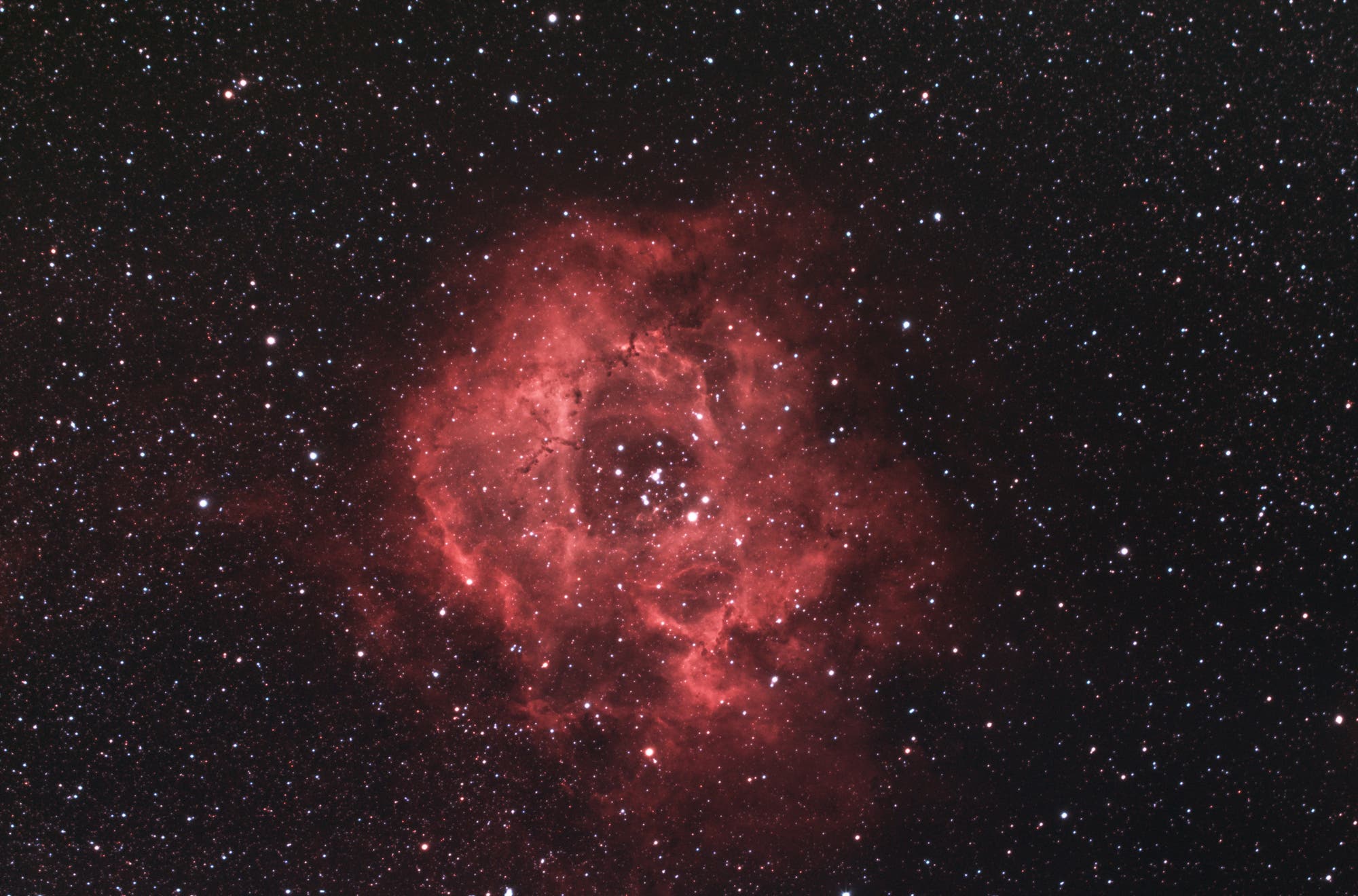 Rosettennebel mit NGC 2244