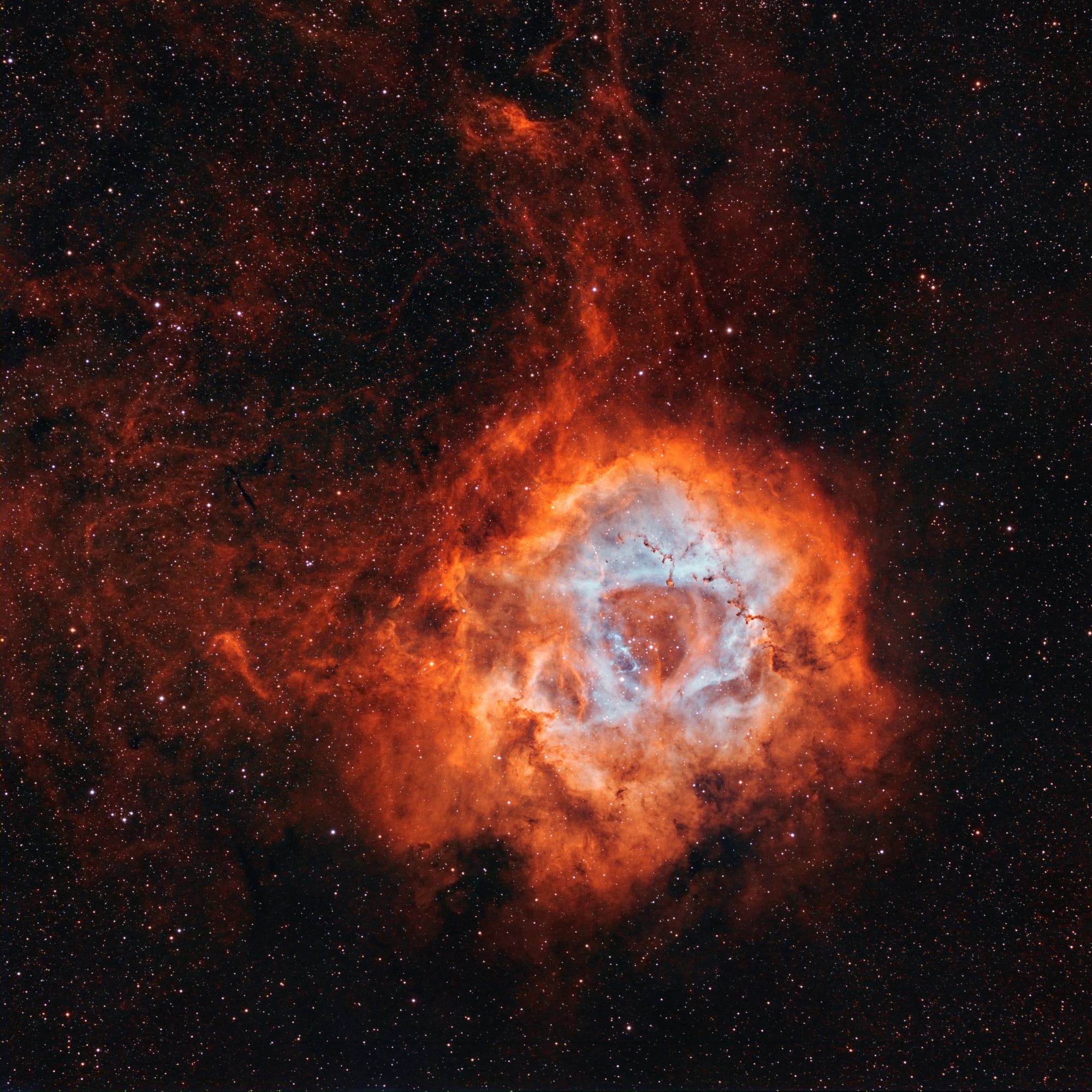NGC 2237 / 2244 Rosettennebel