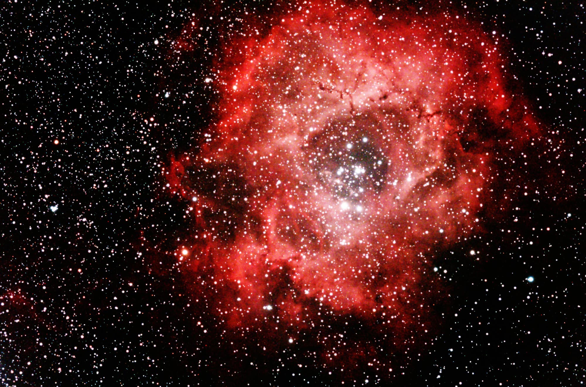 Rosettennebel mit offenem Sternhaufen NGC2244