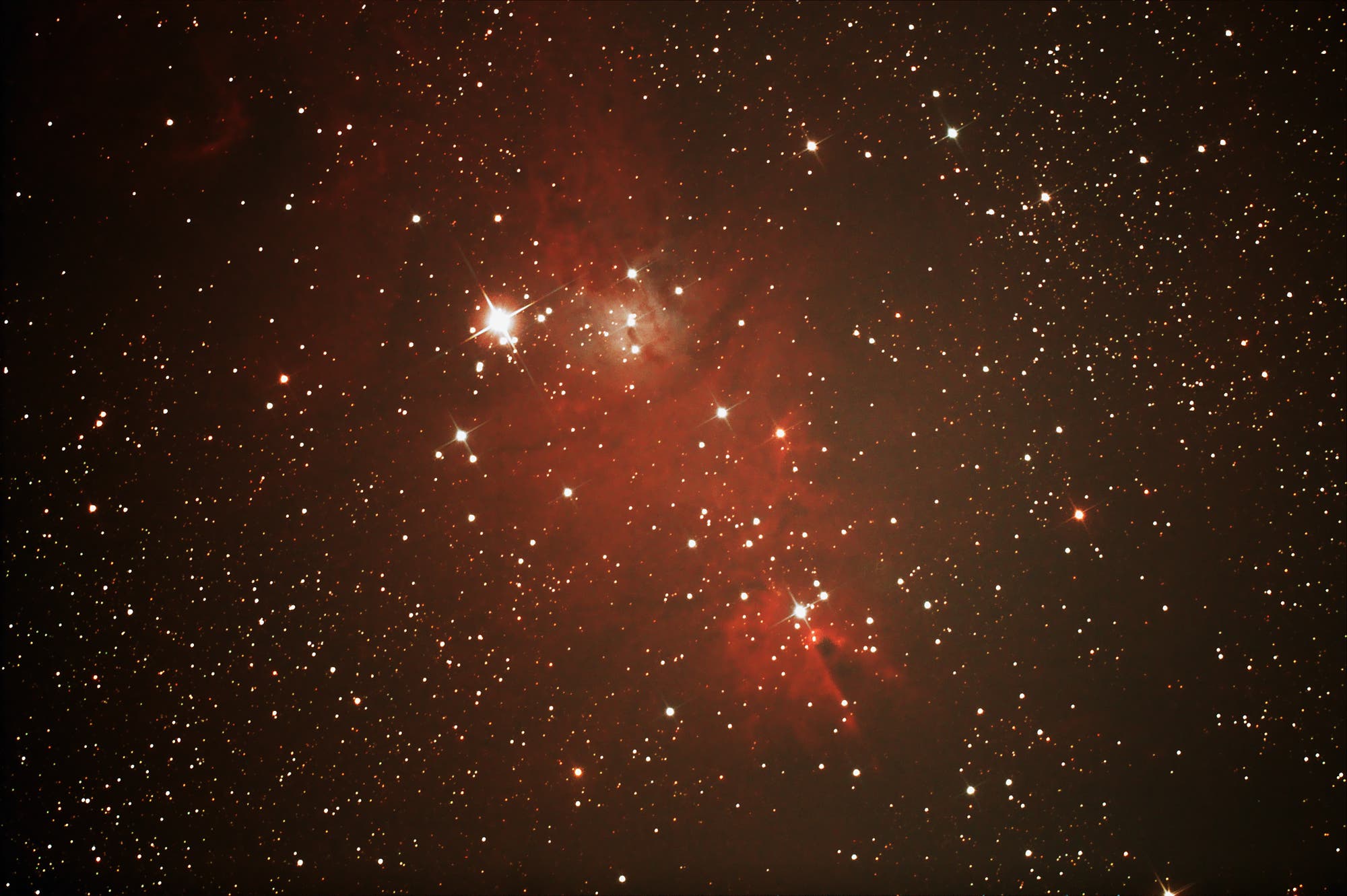 Weihnachtsbaumsternhaufen NGC 2264 mit Konusnebel im Sternbild Einhorn (Monoceros)