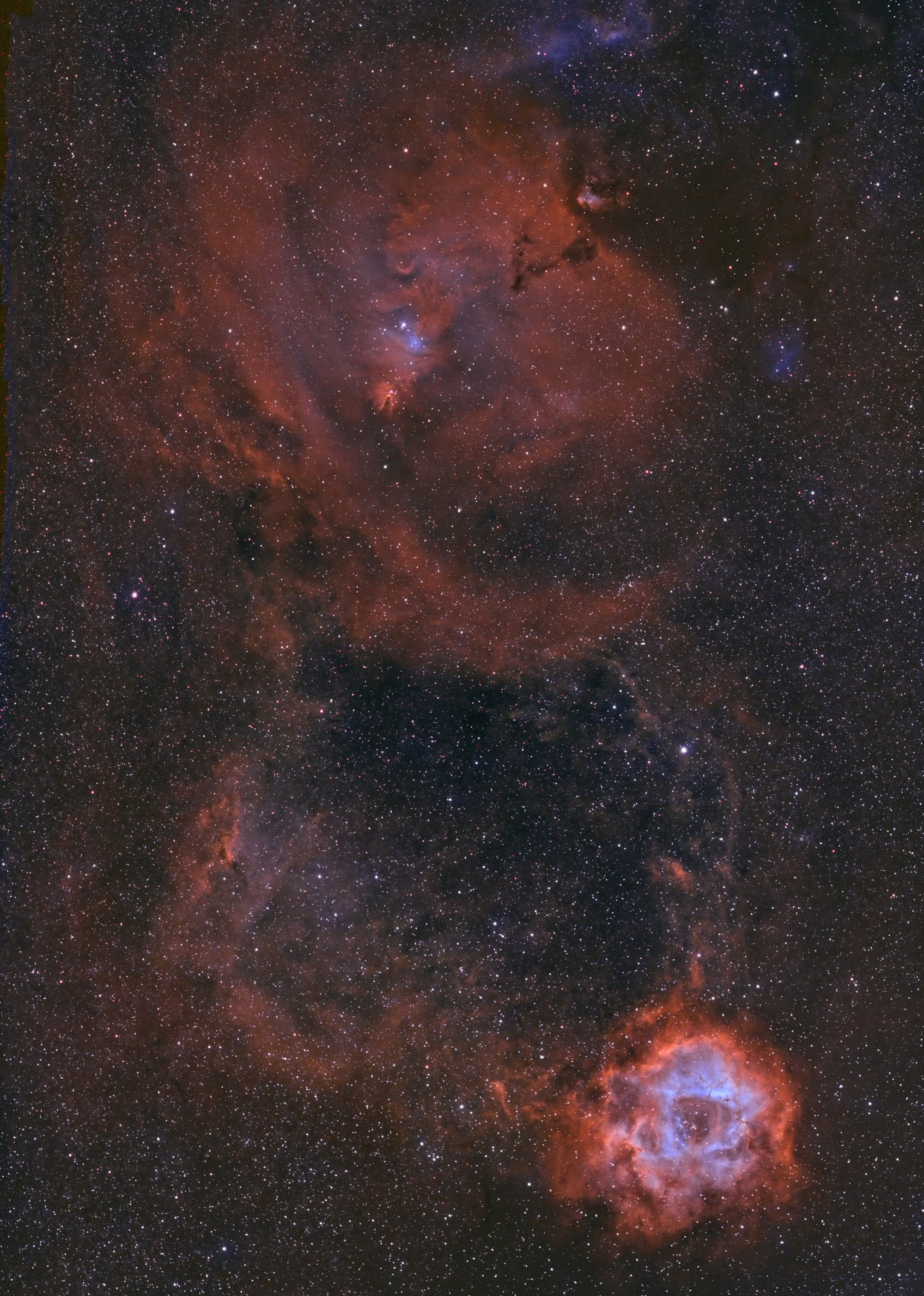 Von NGC 2264 bis NGC 2244 @ DSLR BiColor 