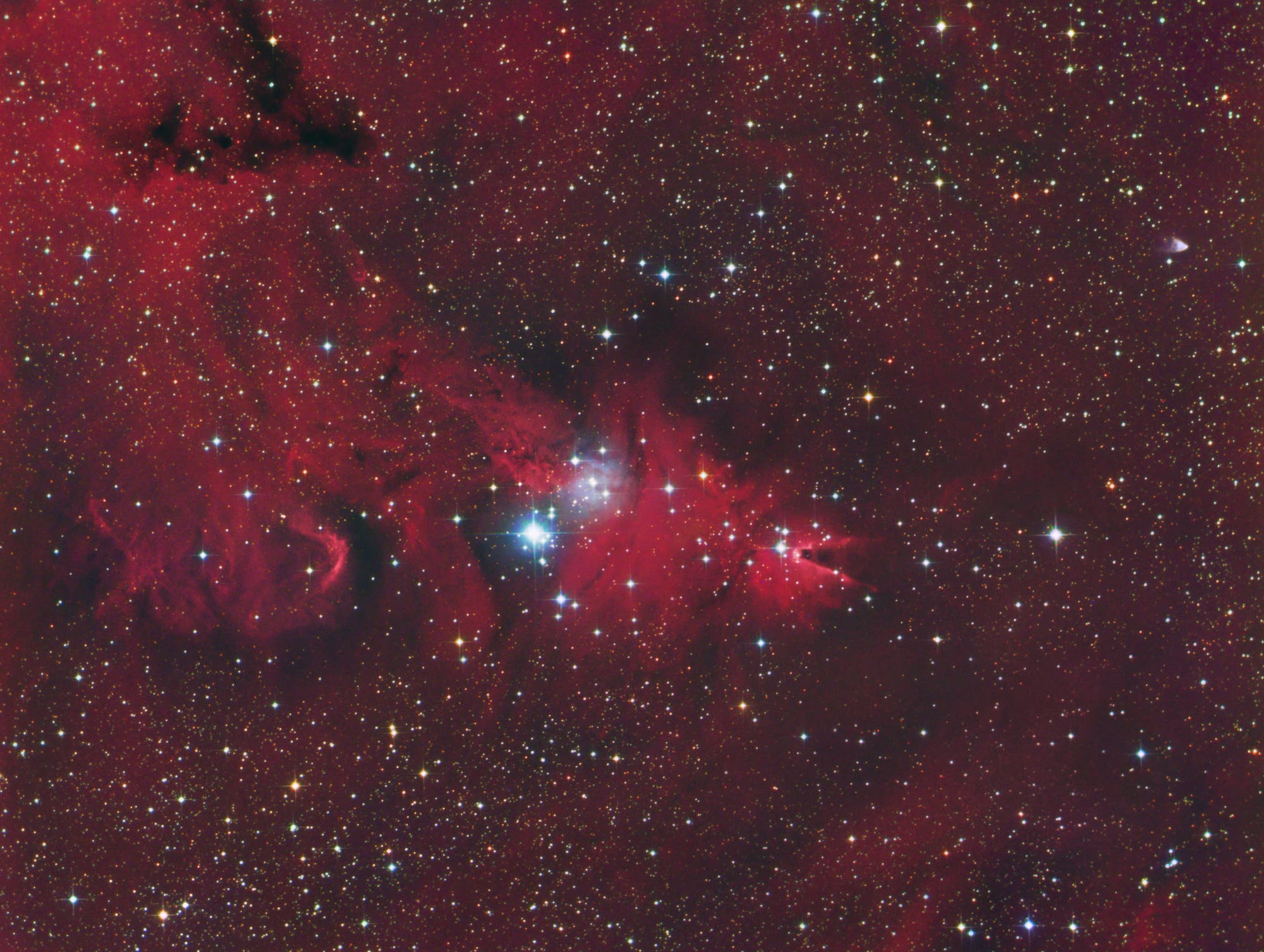 NGC 2264 und Konusnebel 