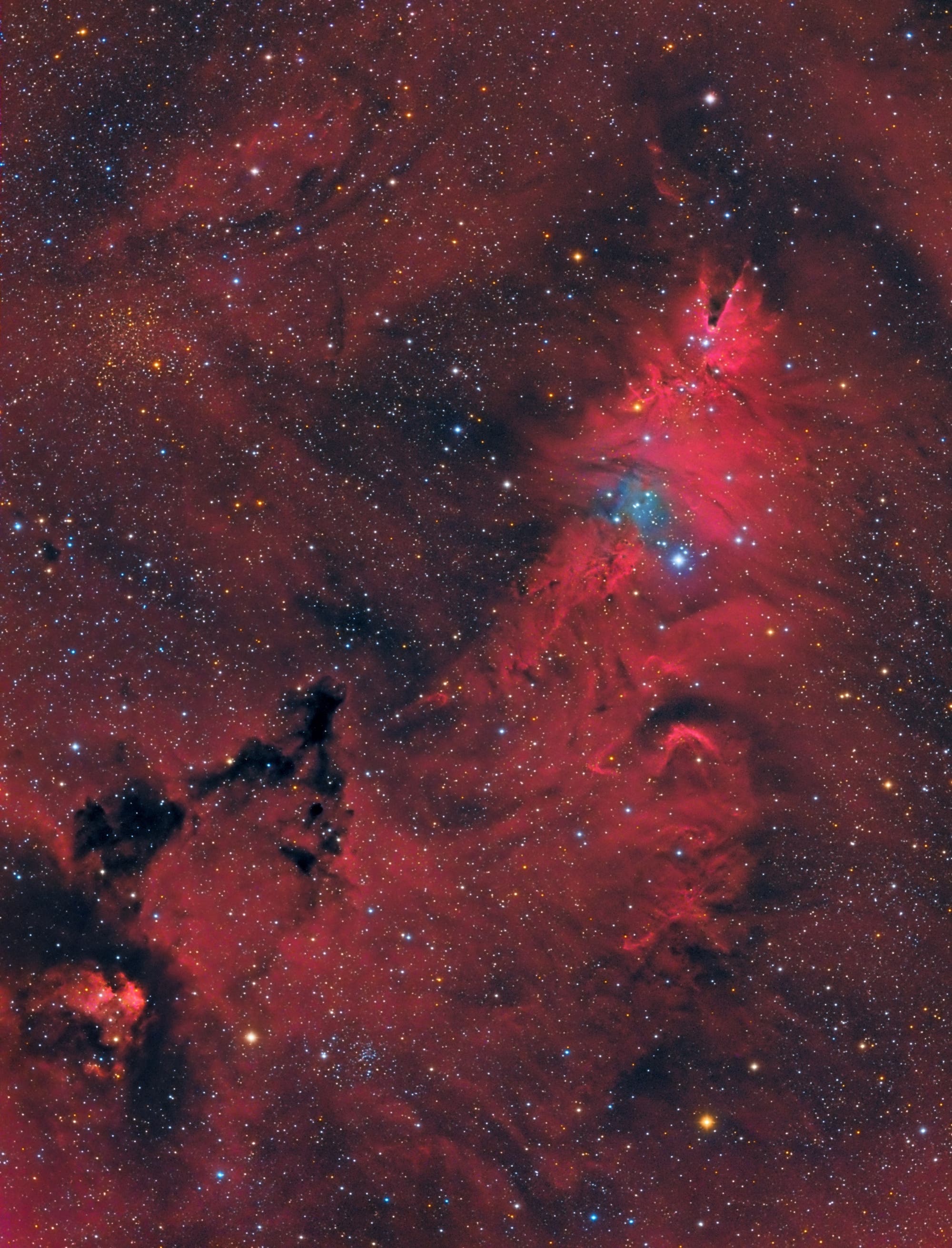 NGC 2264 und der Christbaum