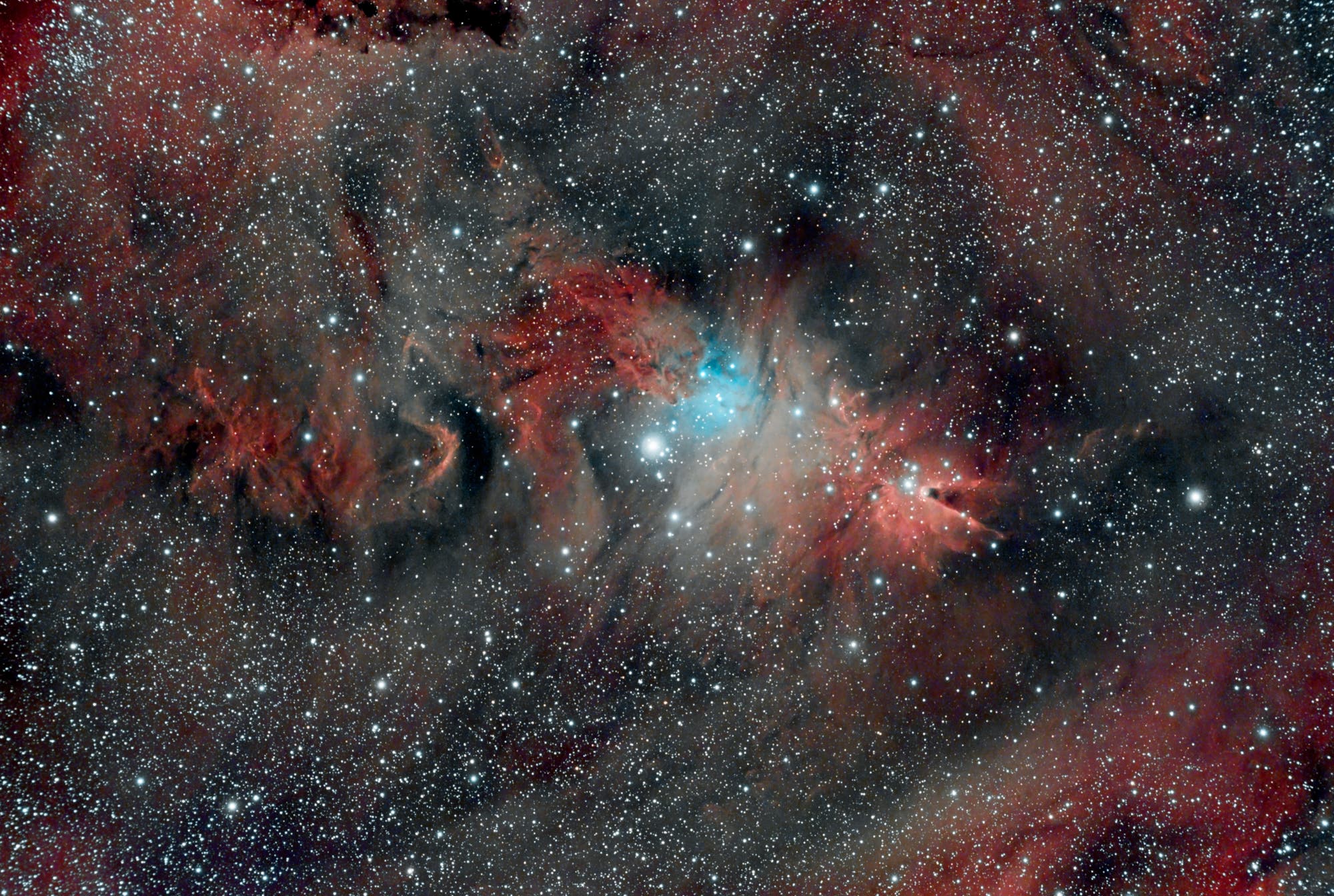 Der Weihnachtsbaumnebel NGC 2264 