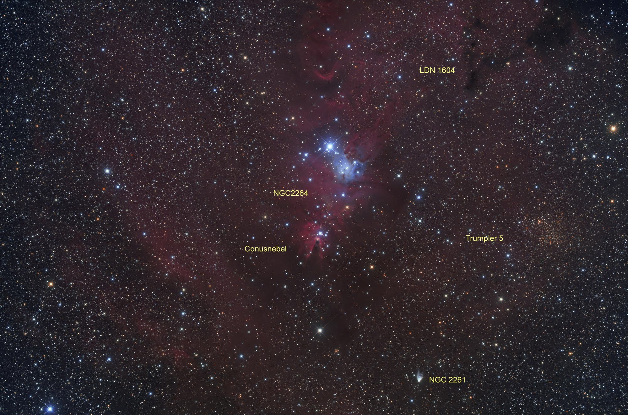 NGC 2264  (Objekte)