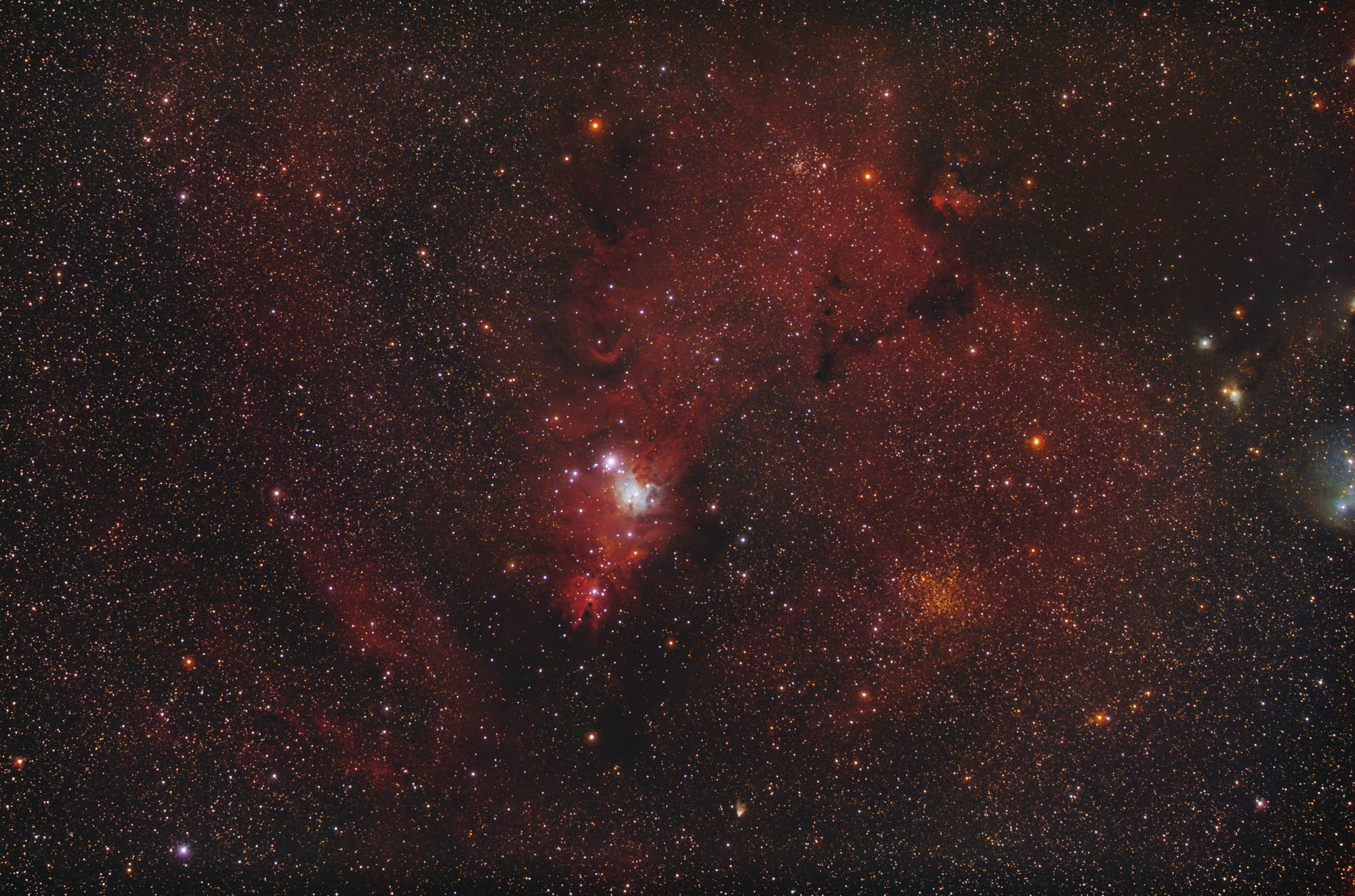 Konusnebel NGC 2264 im Widefield