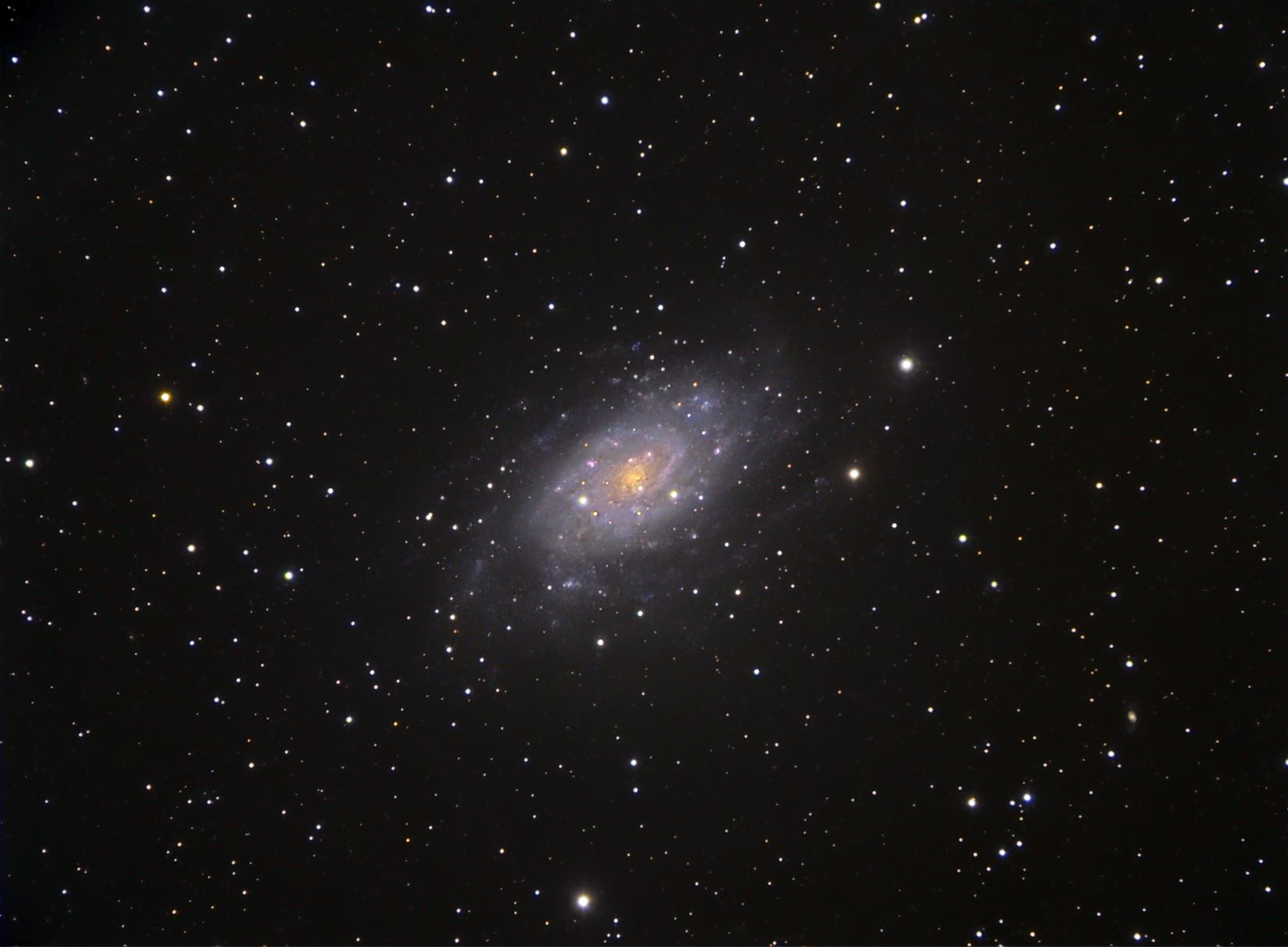 Die Galaxie NGC 2403