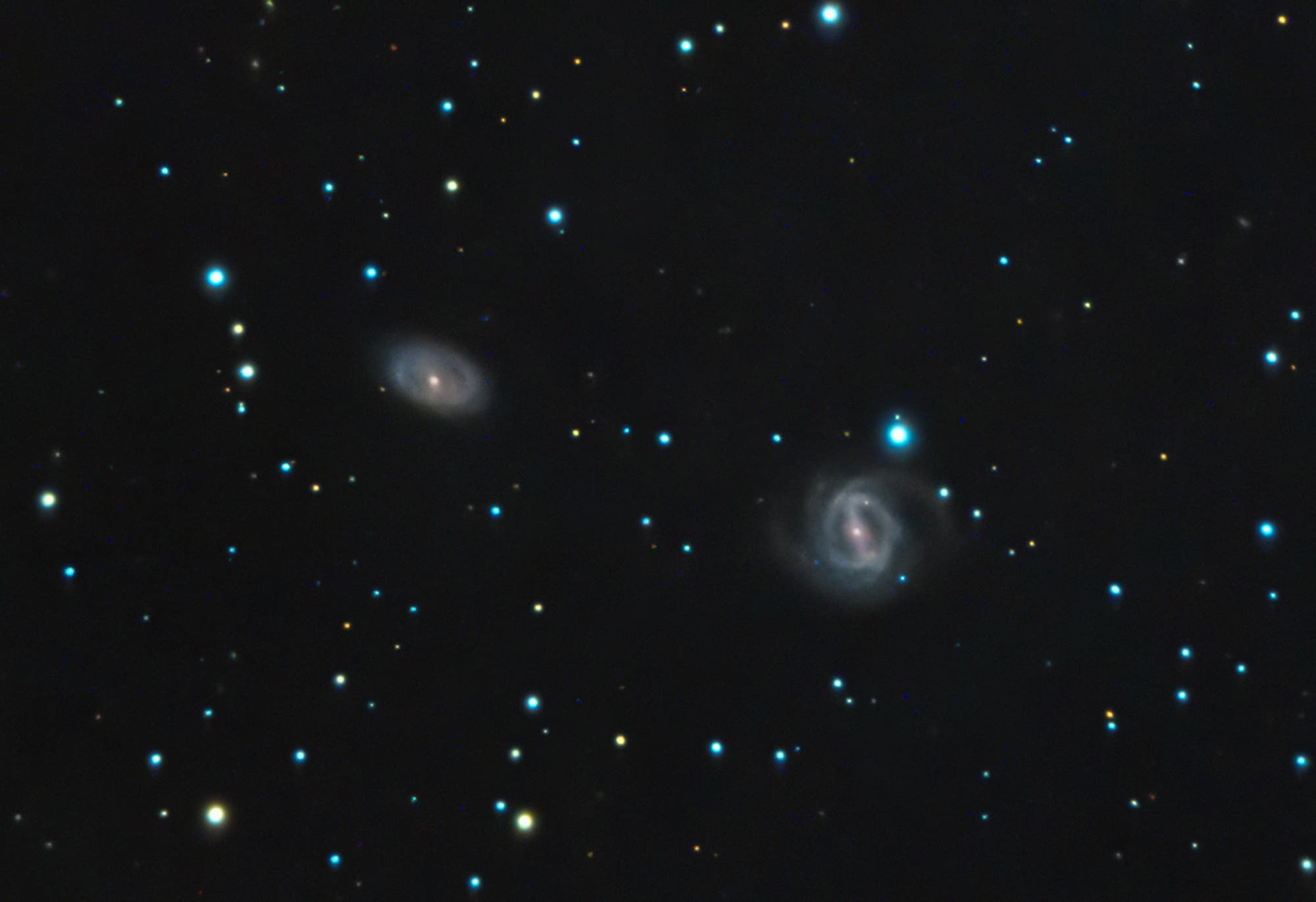 Target galaxies NGC 2486/87