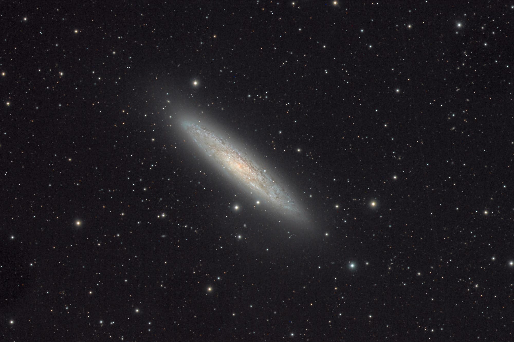  Die Skulptor- oder Silverdollar-Galaxie (NGC253) 
