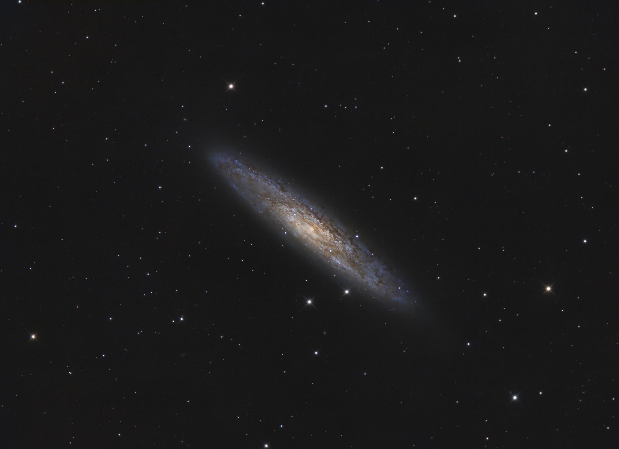 NGC 253 - Silberdollar-Galaxie