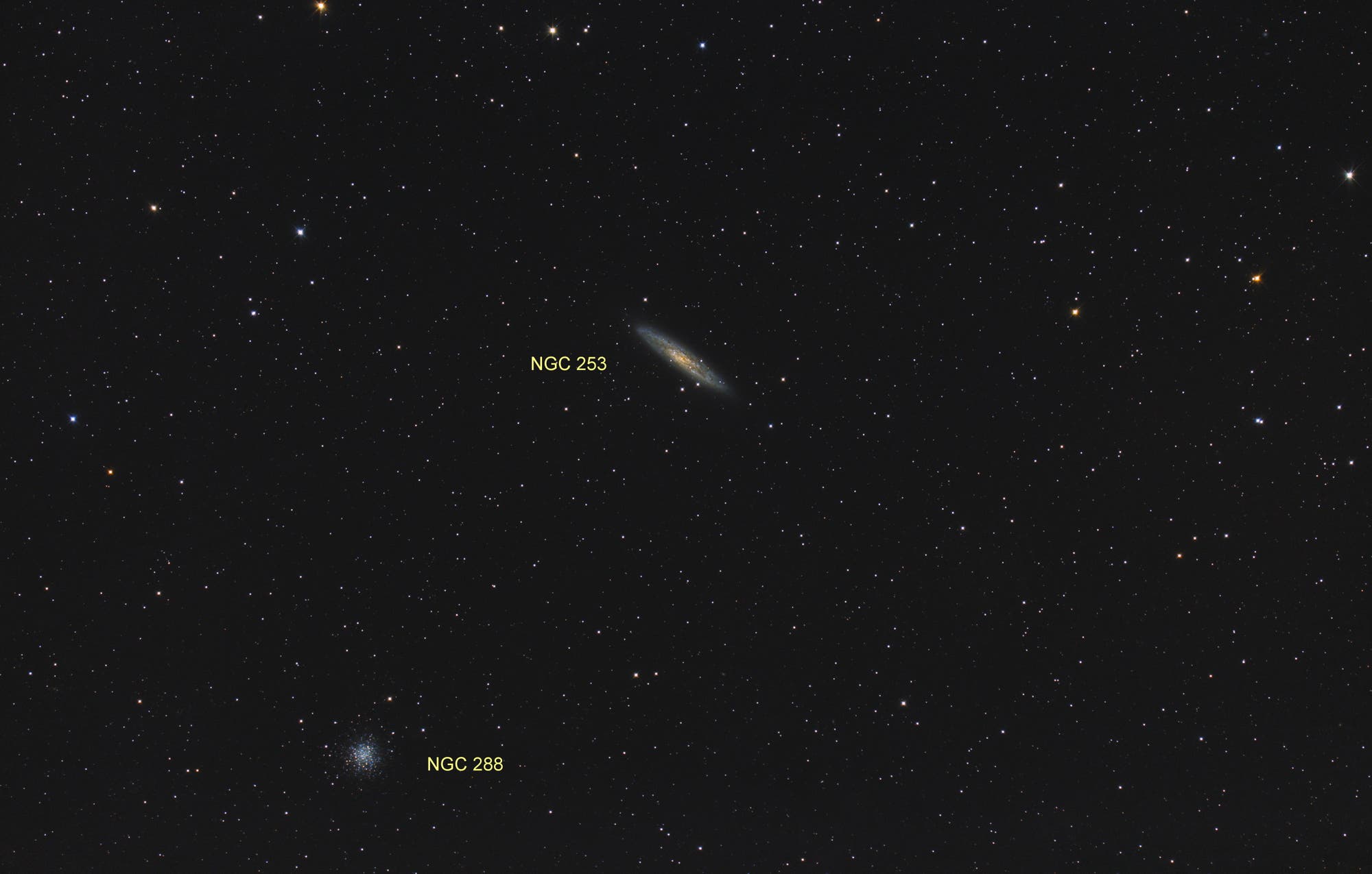 NGC 253 und NGC 288 (Objekte)