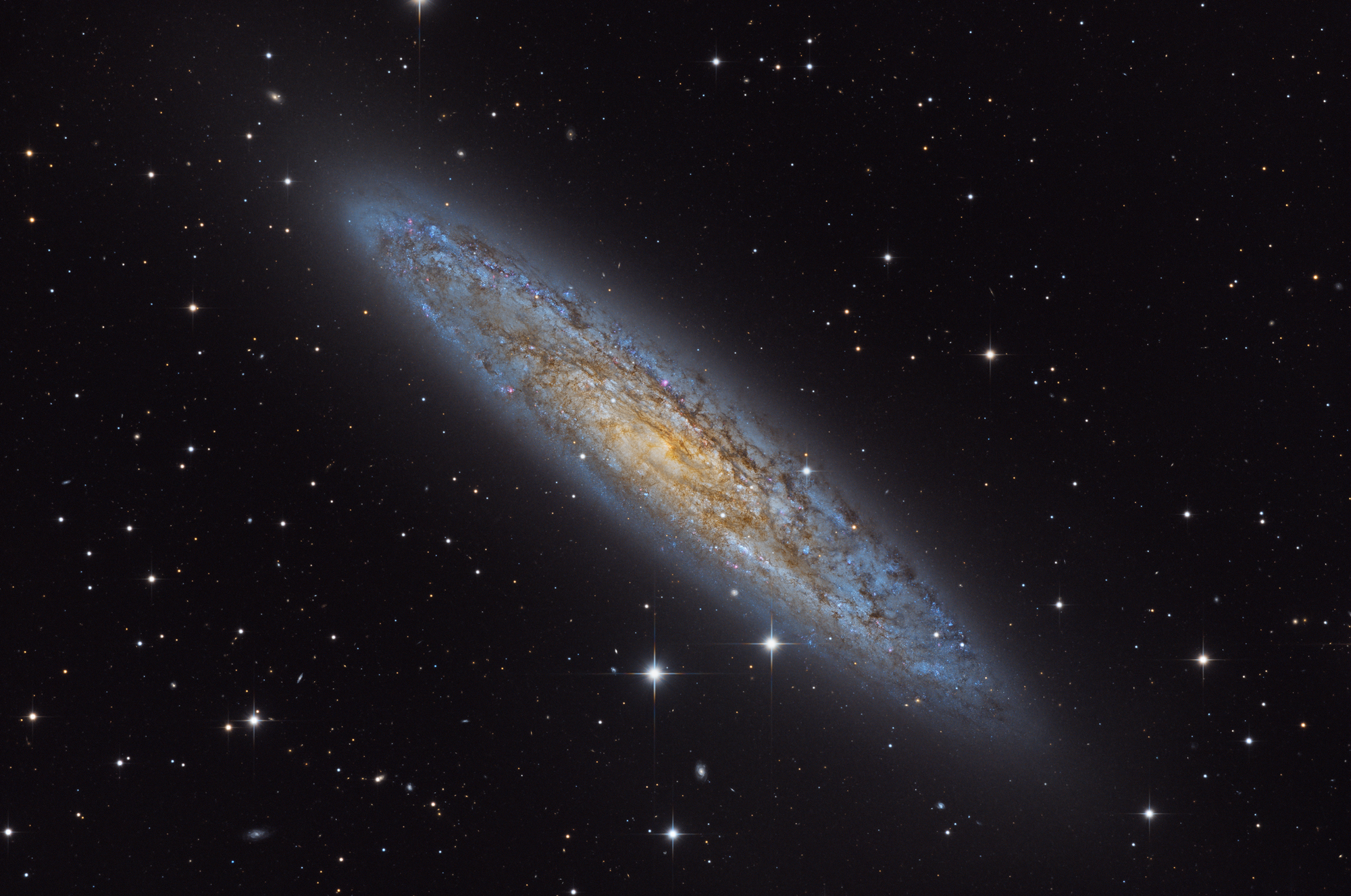 Galaxie NGC 253