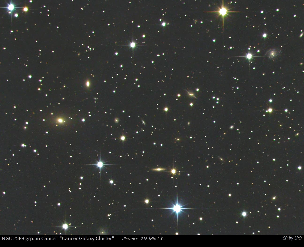 NGC 2563 - Galaxienhaufen im Sternbild Krebs (Cancer Cluster)