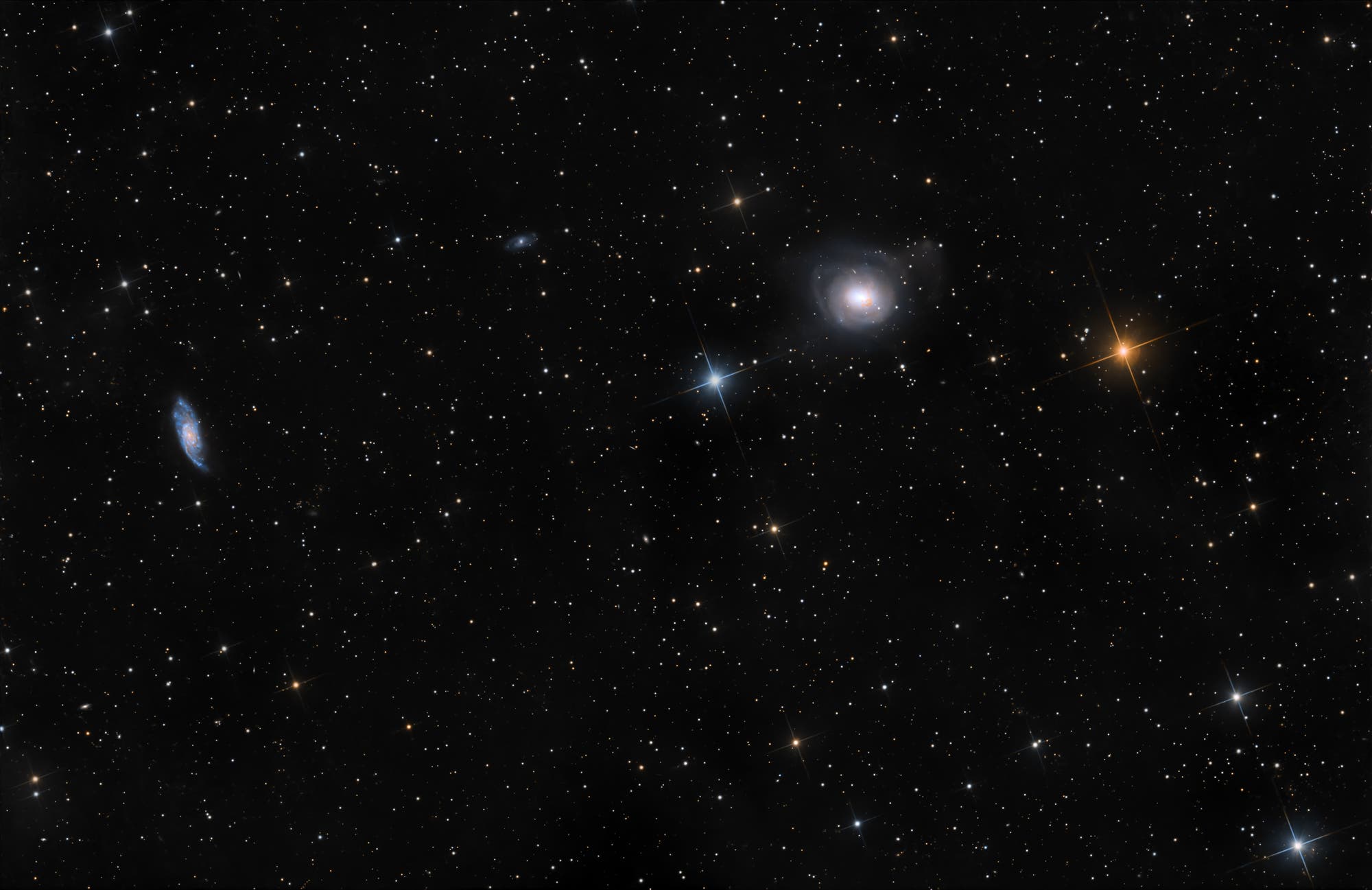 NGC 2655 und Umgebung