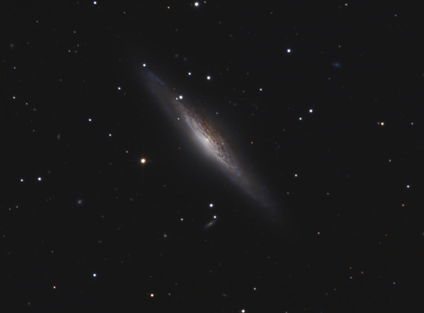 NGC 2683 mit 15-Zoll-Newton
