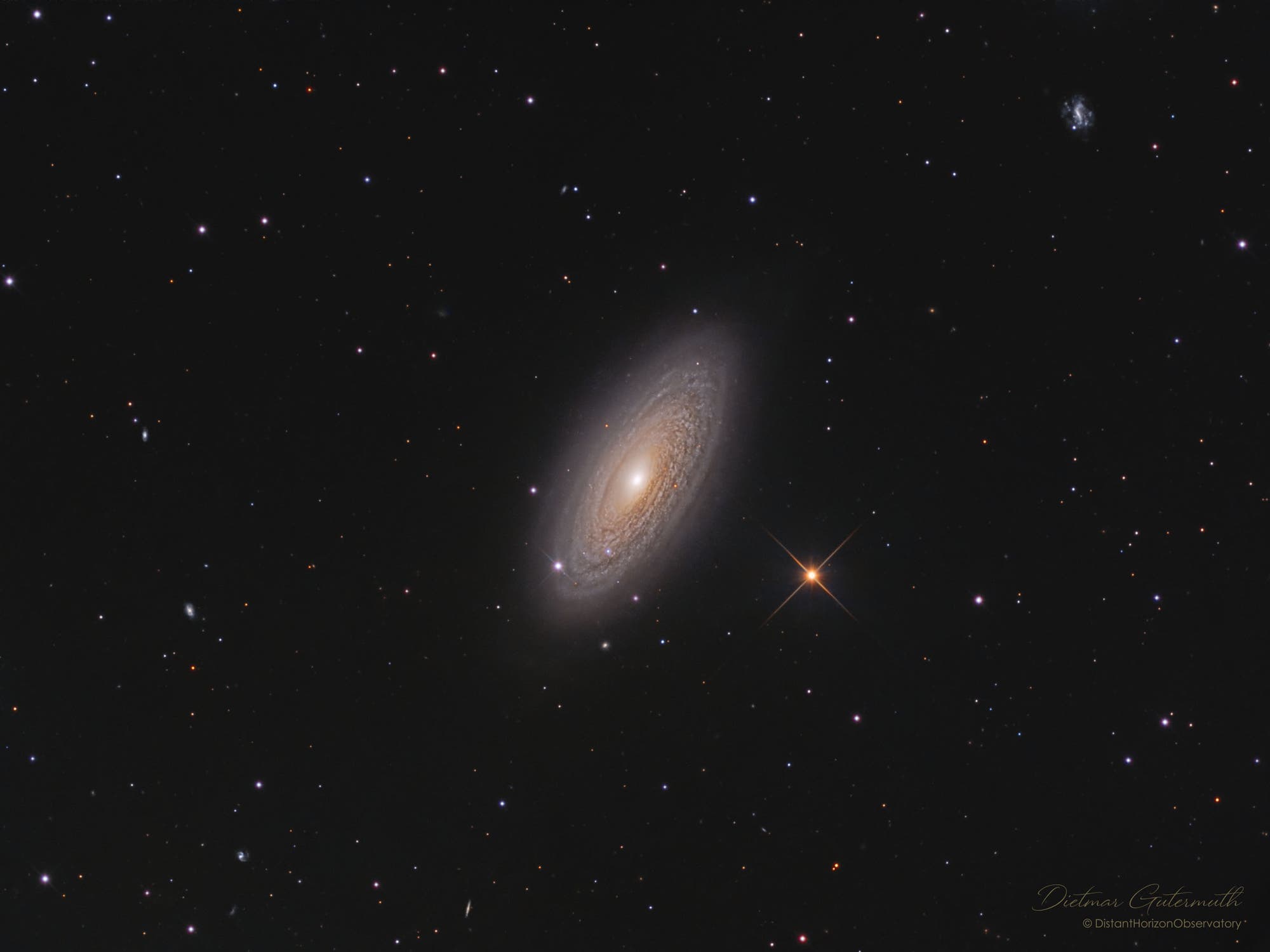 NGC 2841, die Tigeraugen-Galaxie