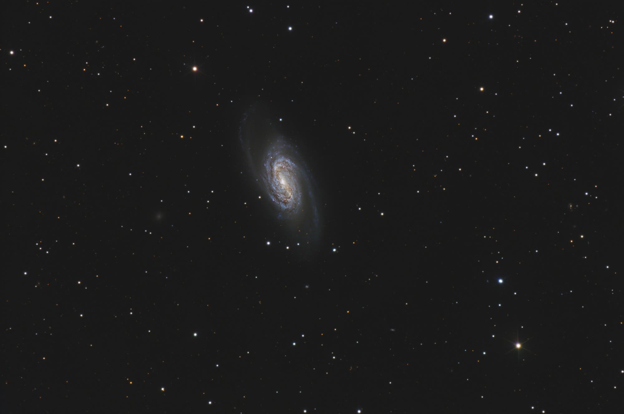 NGC 2903