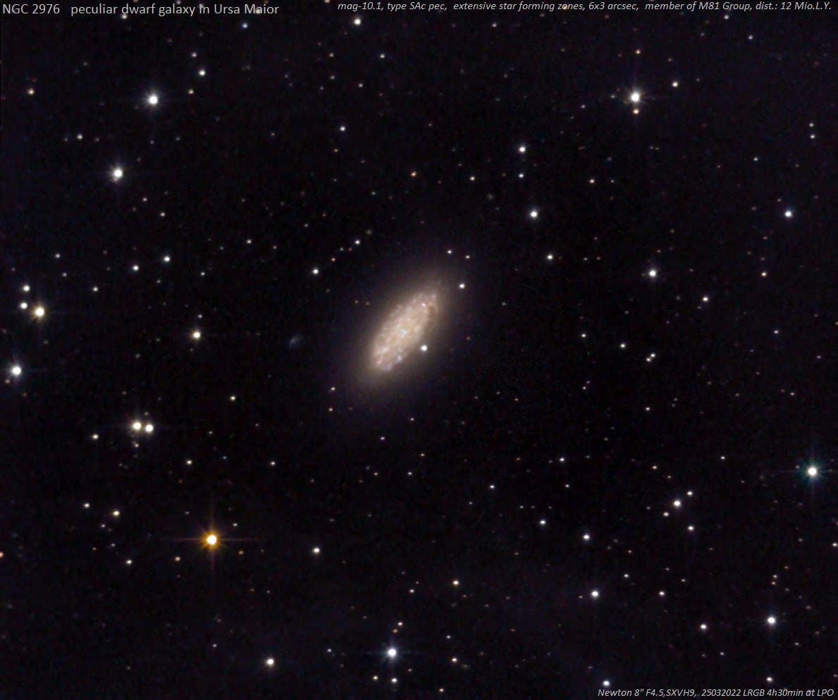 NGC 2976 (2)