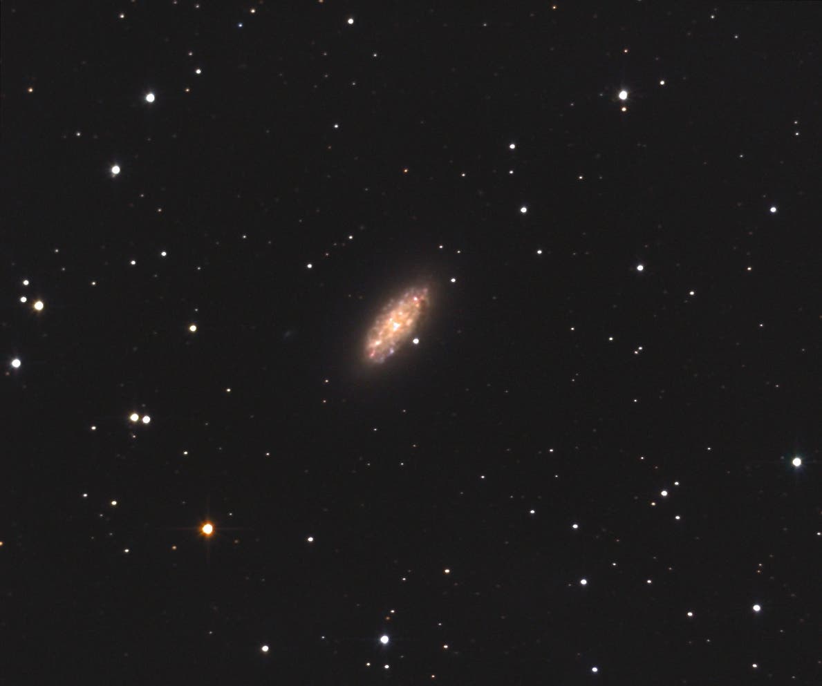 NGC 2976 - ein interessantes Mitglied der M81-Galaxiengruppe
