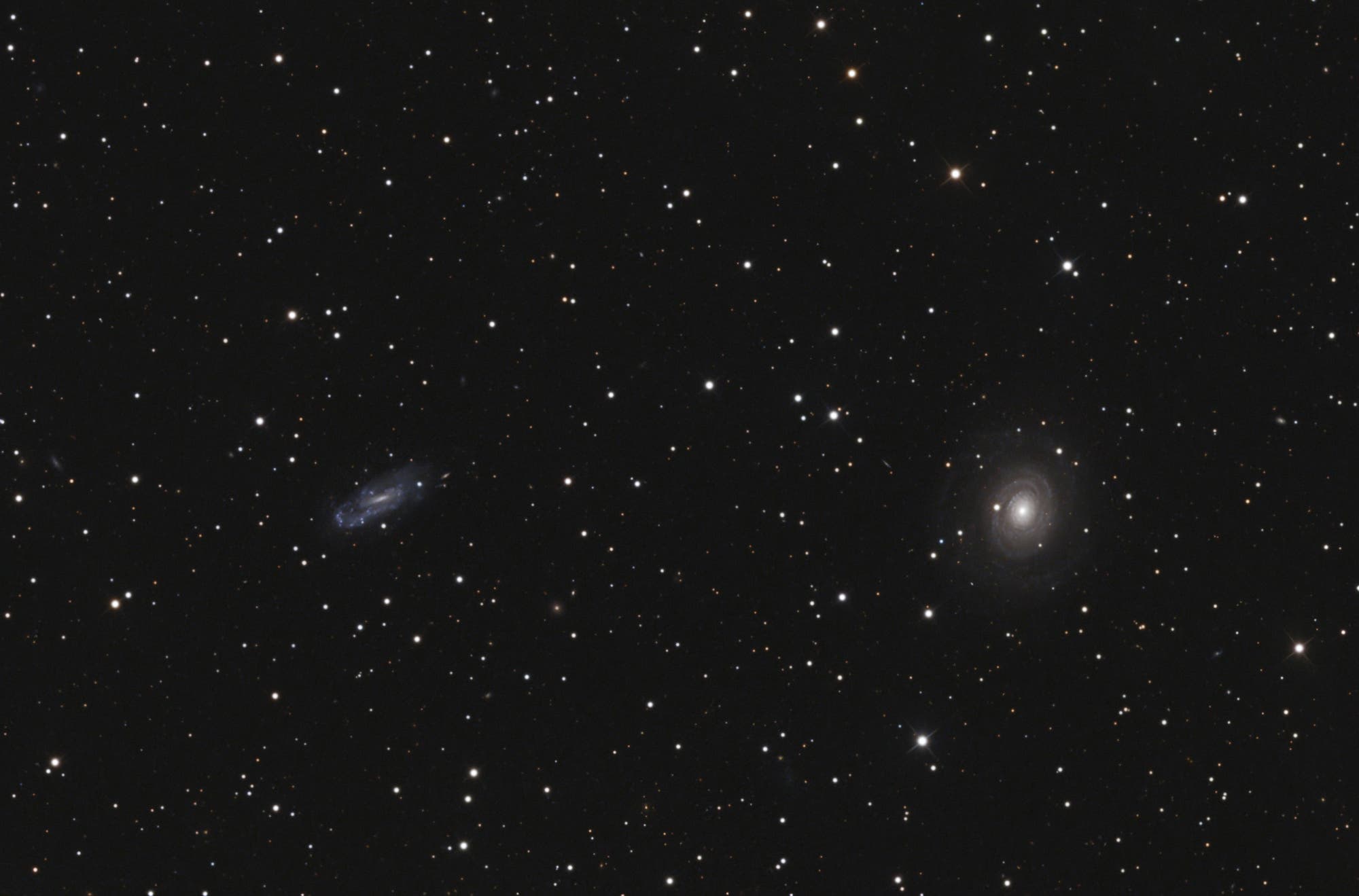 NGC 2985 und NGC 3027