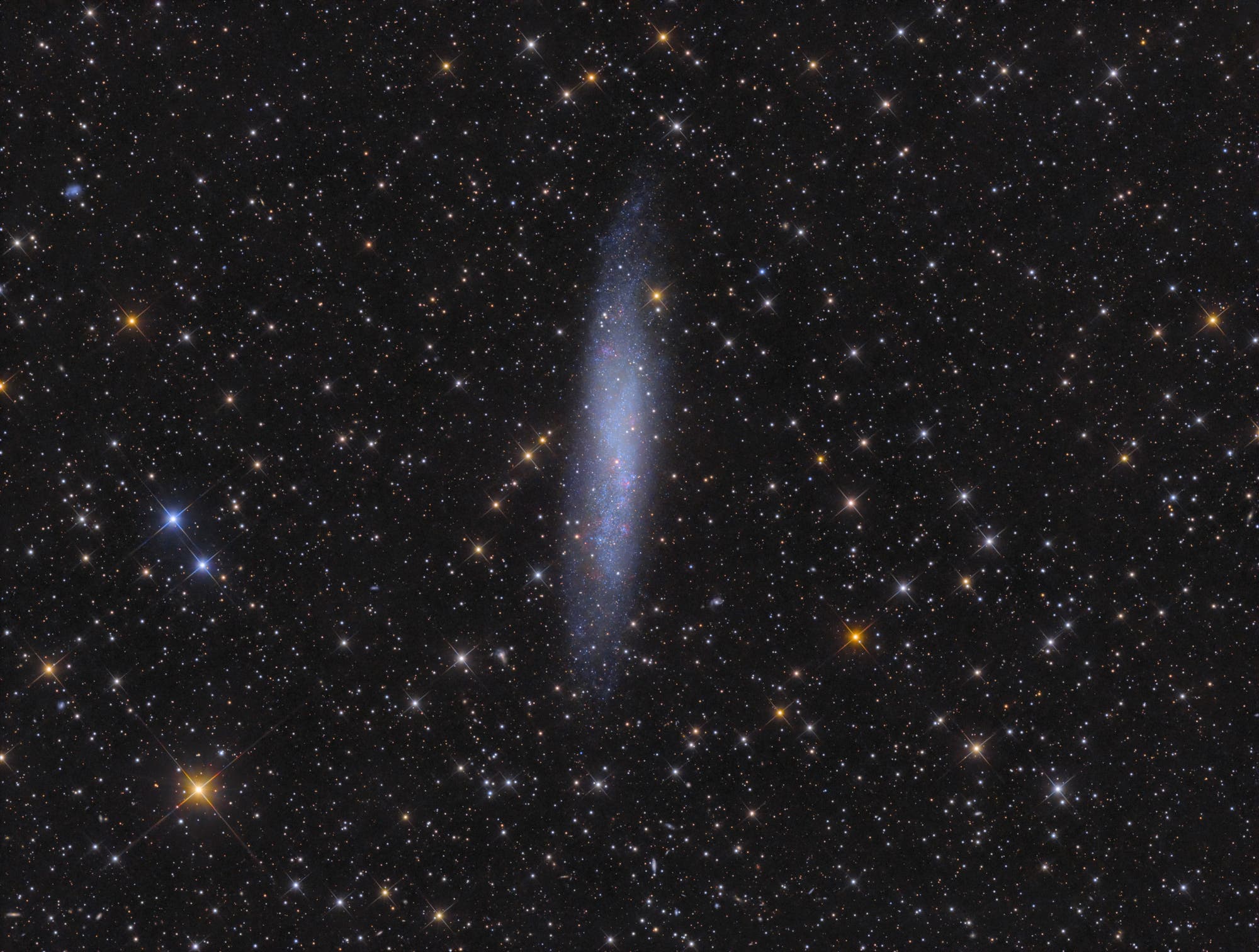 NGC 3109