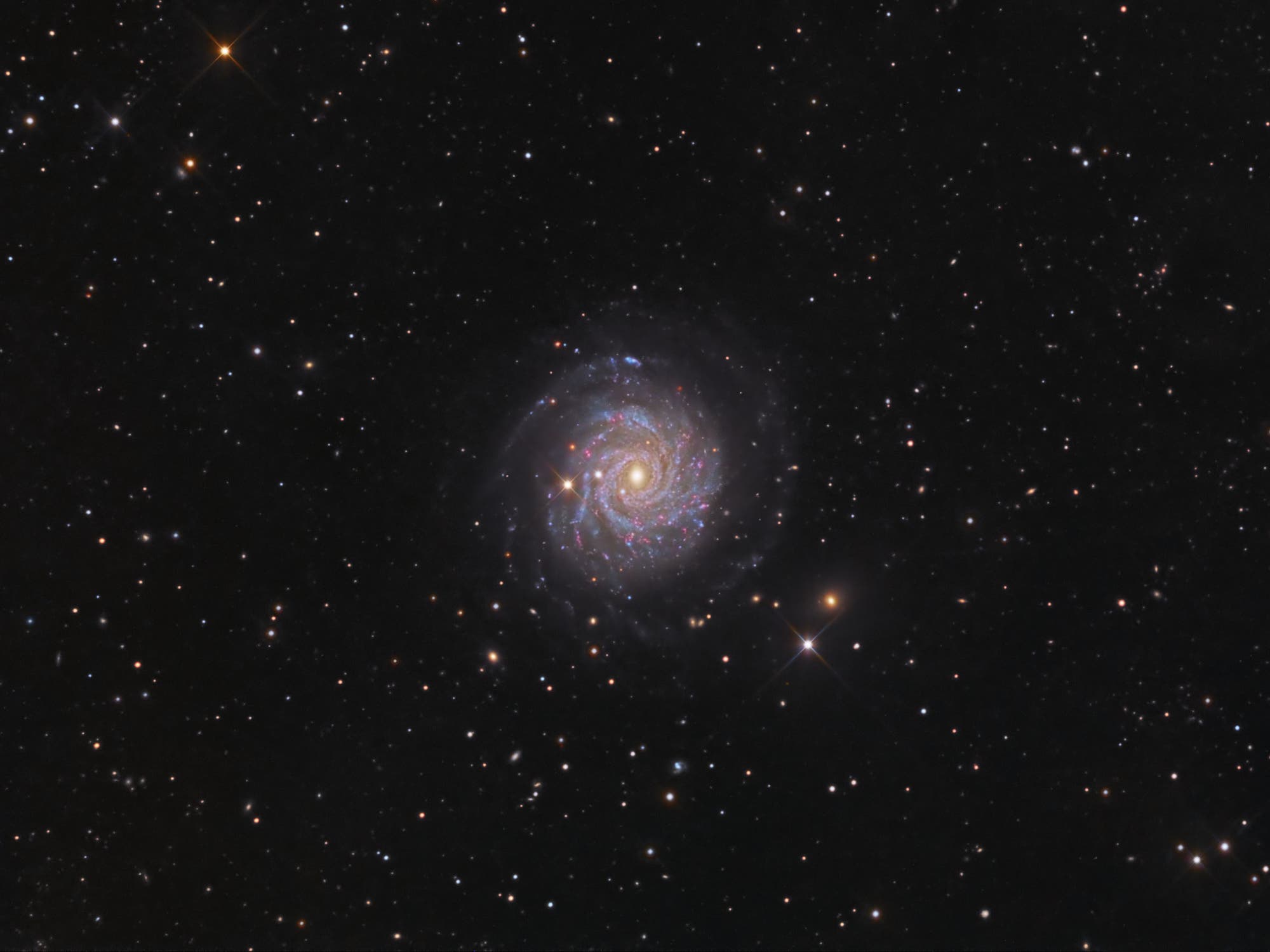 NGC 3344, ein Juwel am nördlichen Firmament