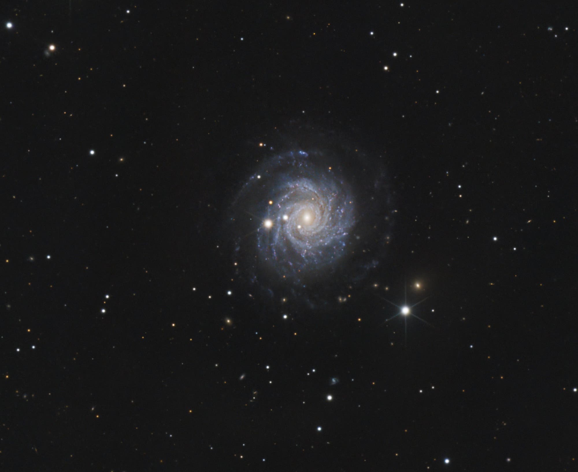 NGC 3344 (Ausschnitt)