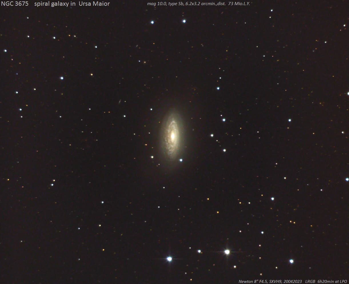 vernachlässigt: NGC 3675 Seyfert-Galaxie in Ursa Major