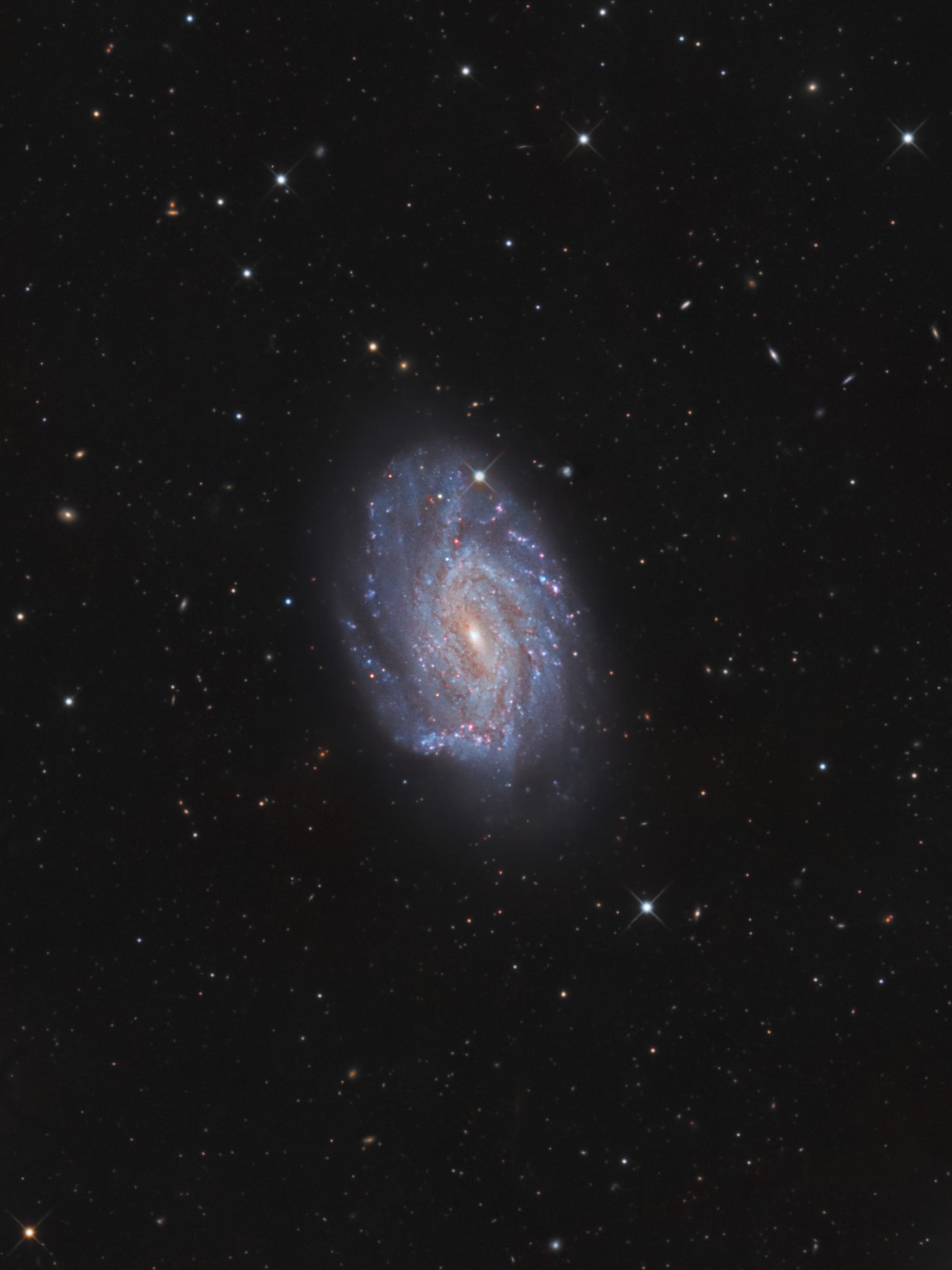 NGC 3726 im Großen Bären