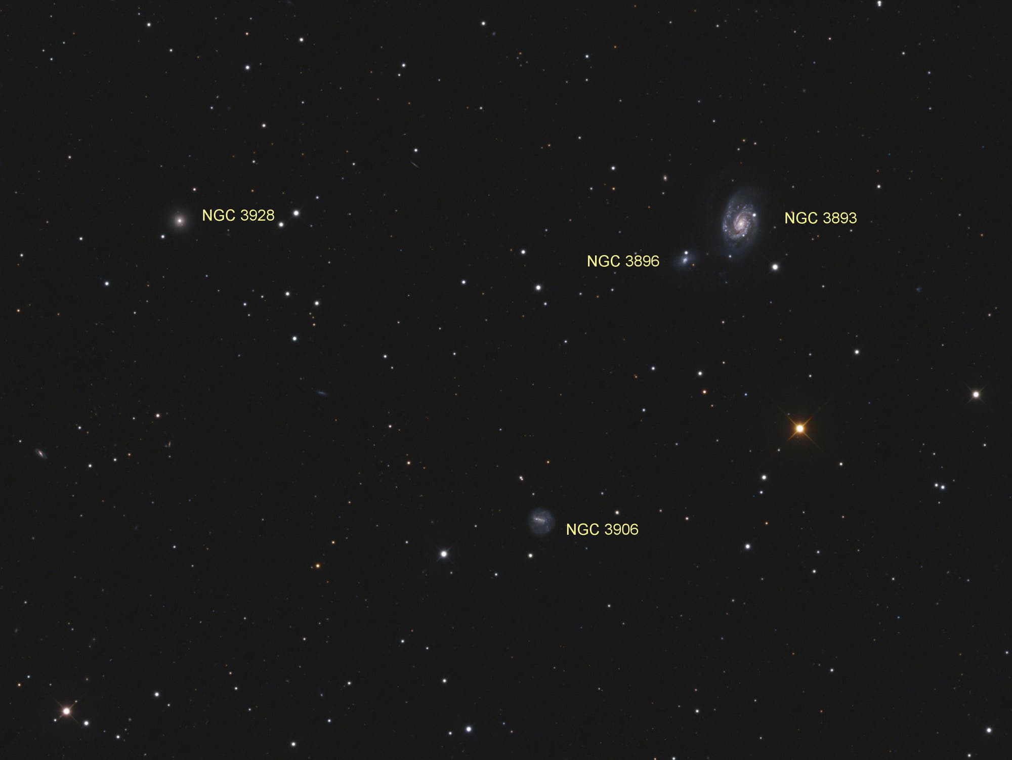 NGC 3893  (Objekte)