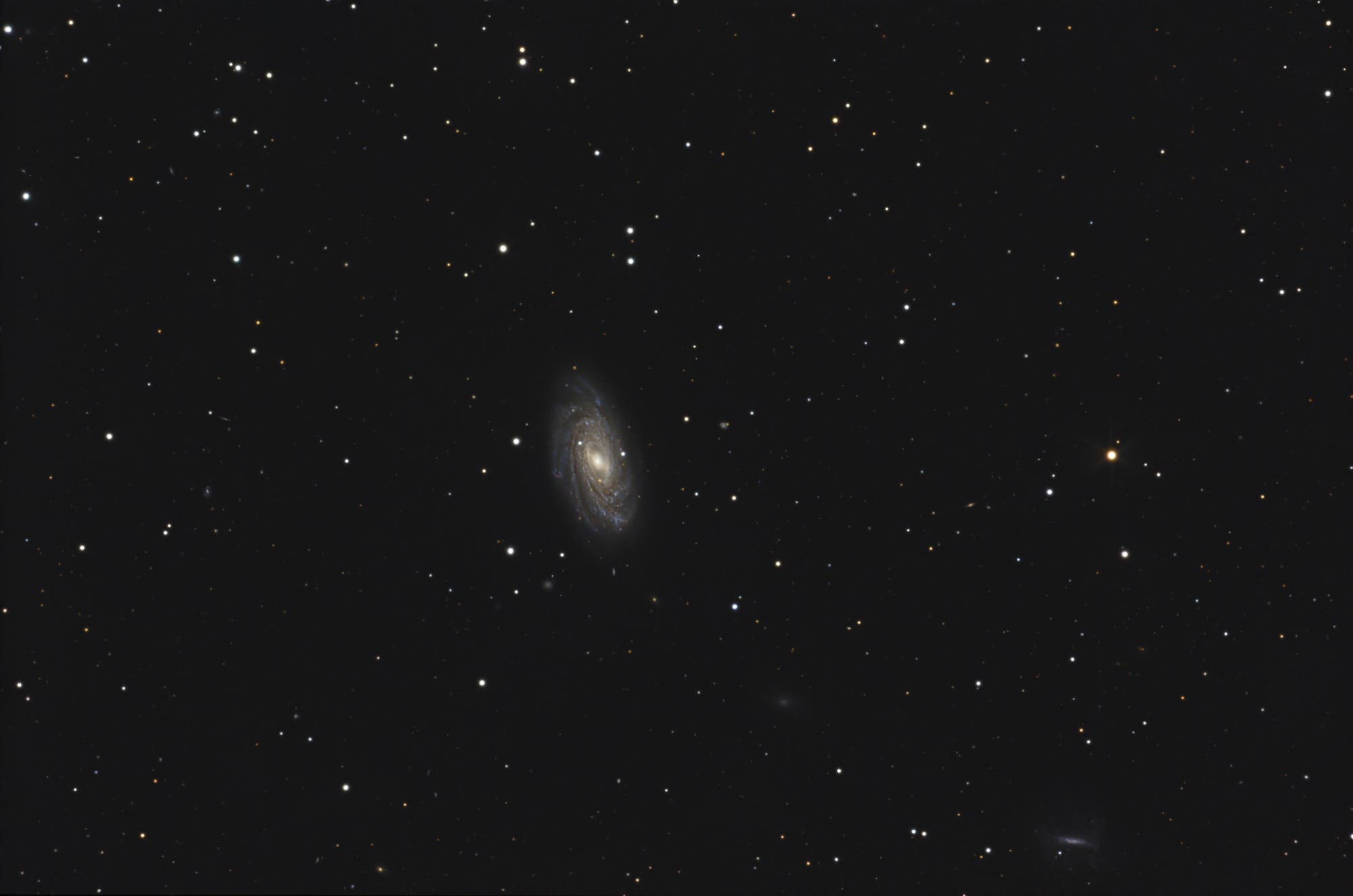 NGC 3953
