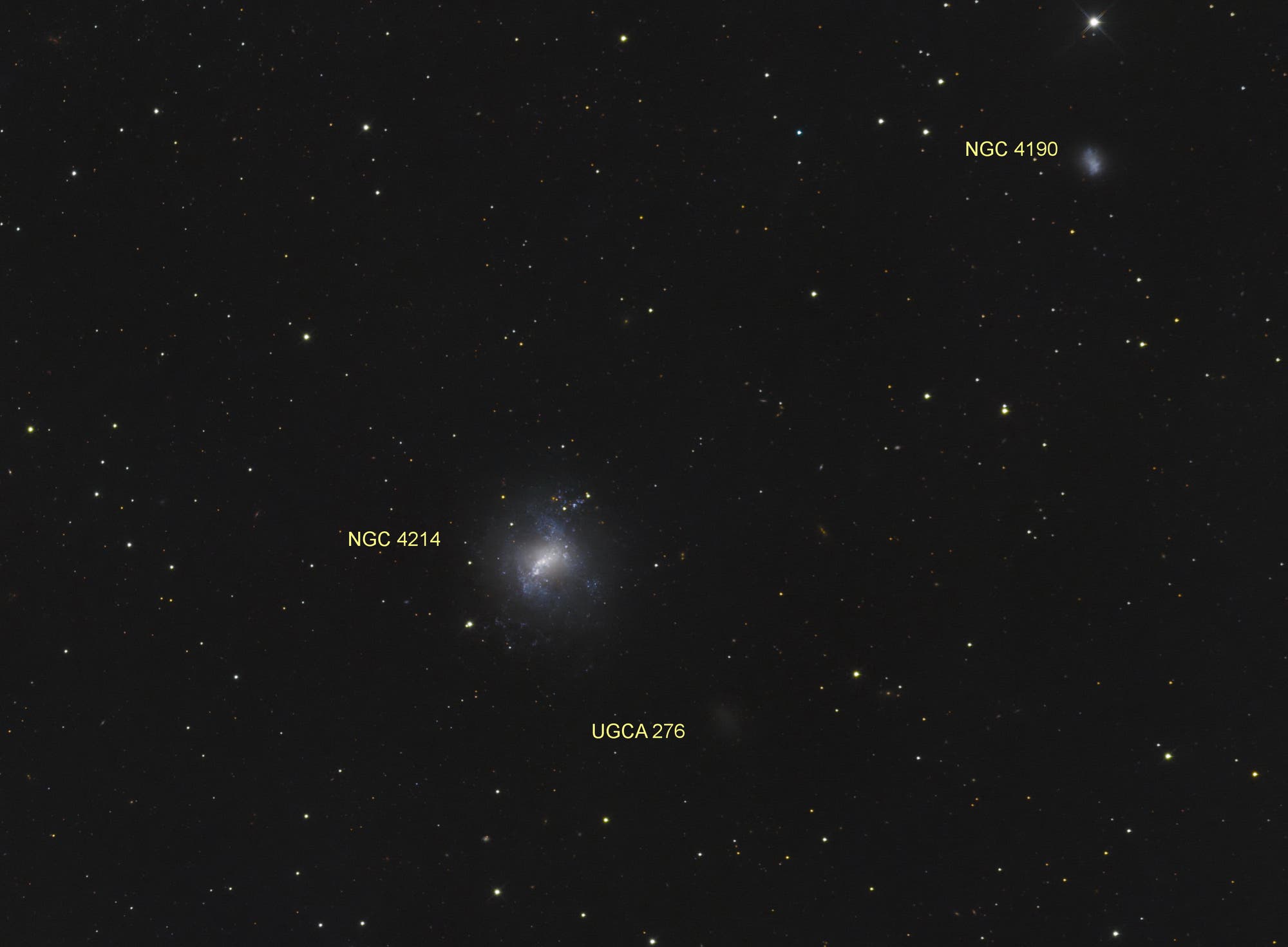 NGC 4214 mit 12-Zoll-ASA-Astrograph (Objekte)
