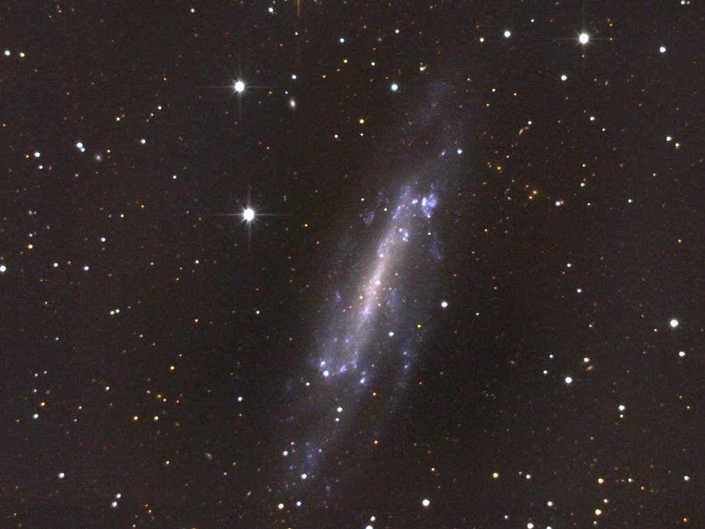 NGC 4236 im Sternbild Drache (Detail)