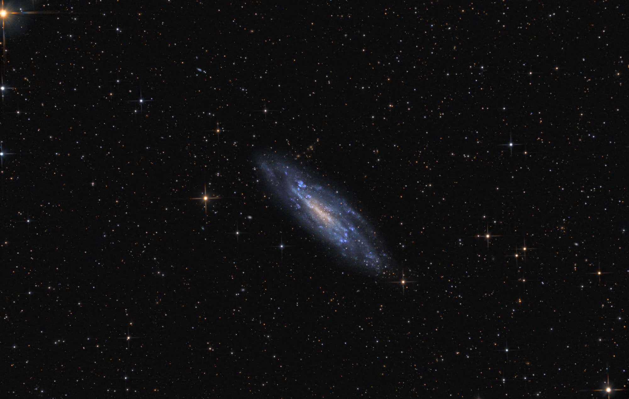 Balkenspiralgalaxie NGC 4236