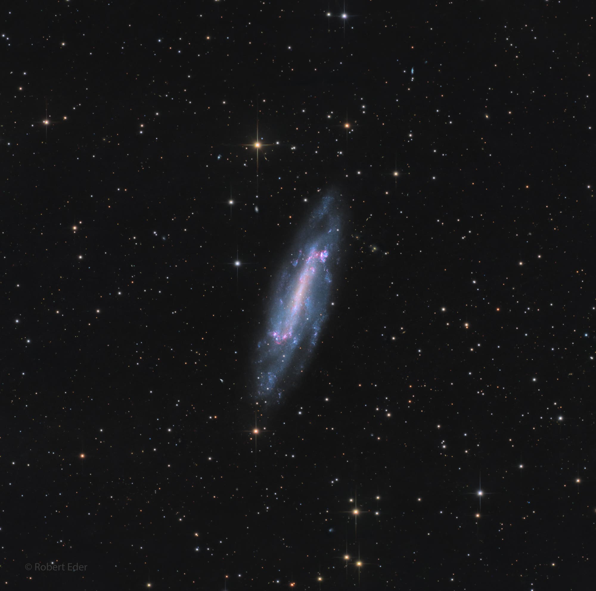 NGC 4236
