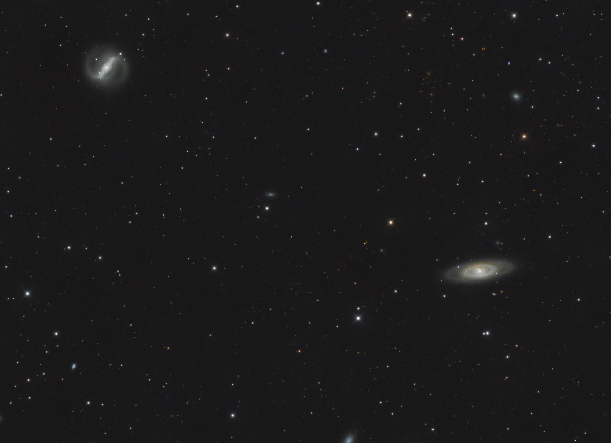 NGC 4314 und NGC 4274