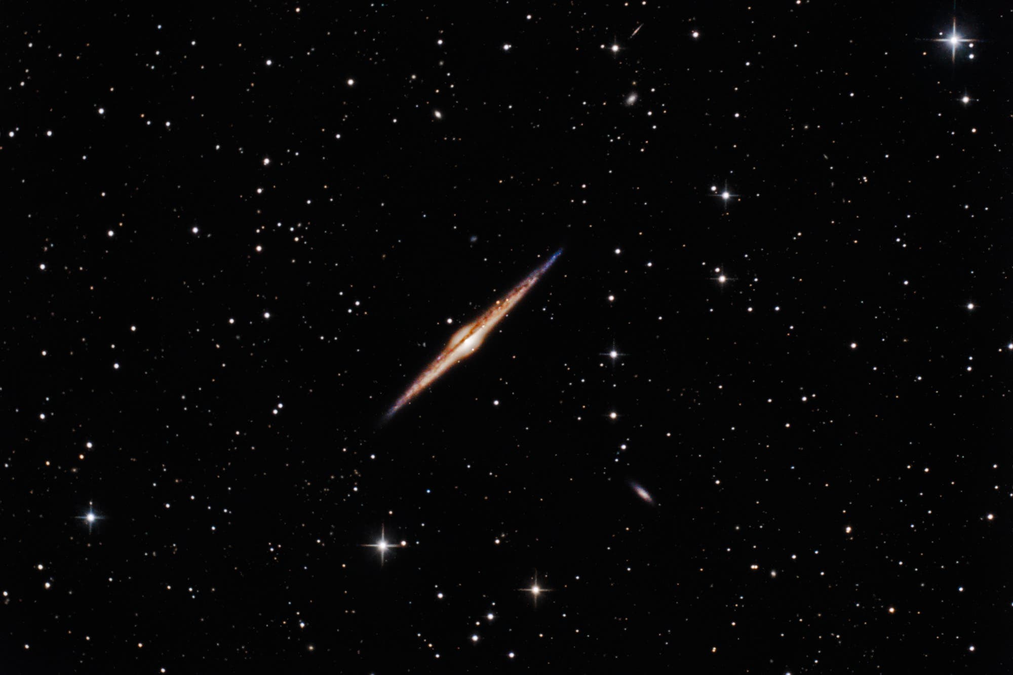 NGC 4565