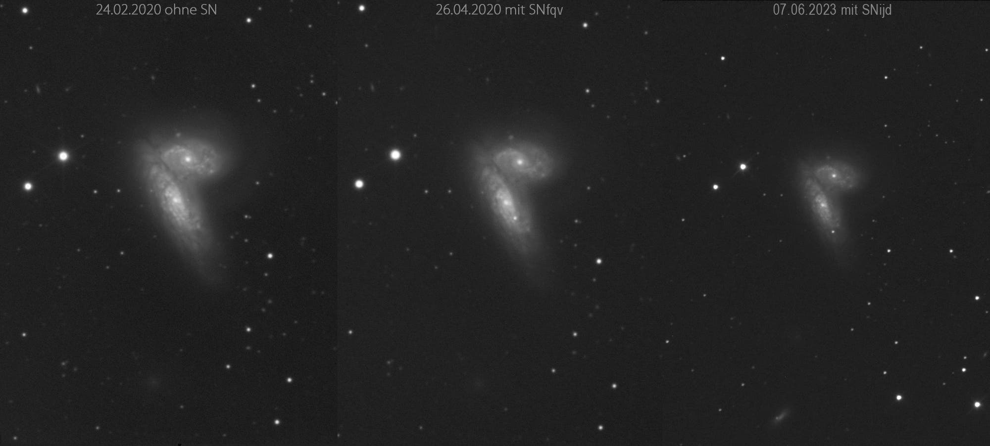 NGC 4568 mit SN 2020fqv und SN 2023ijd 