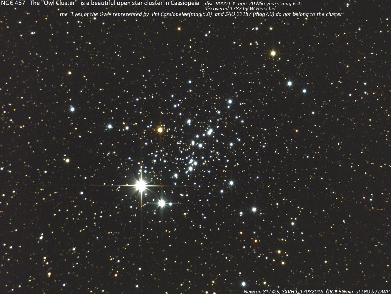 NGC457 – Offener Sternhaufen in Cassiopeia ("Owl Cluster")