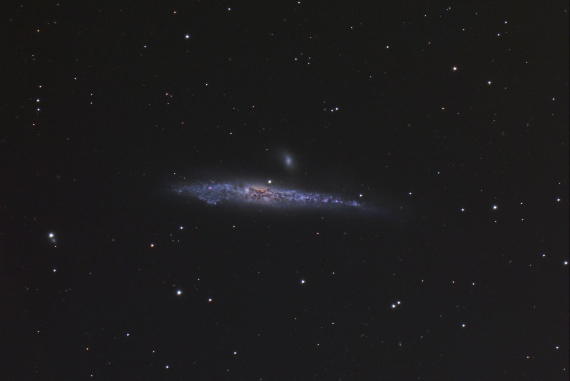 NGC 4631 - die Walgalaxie