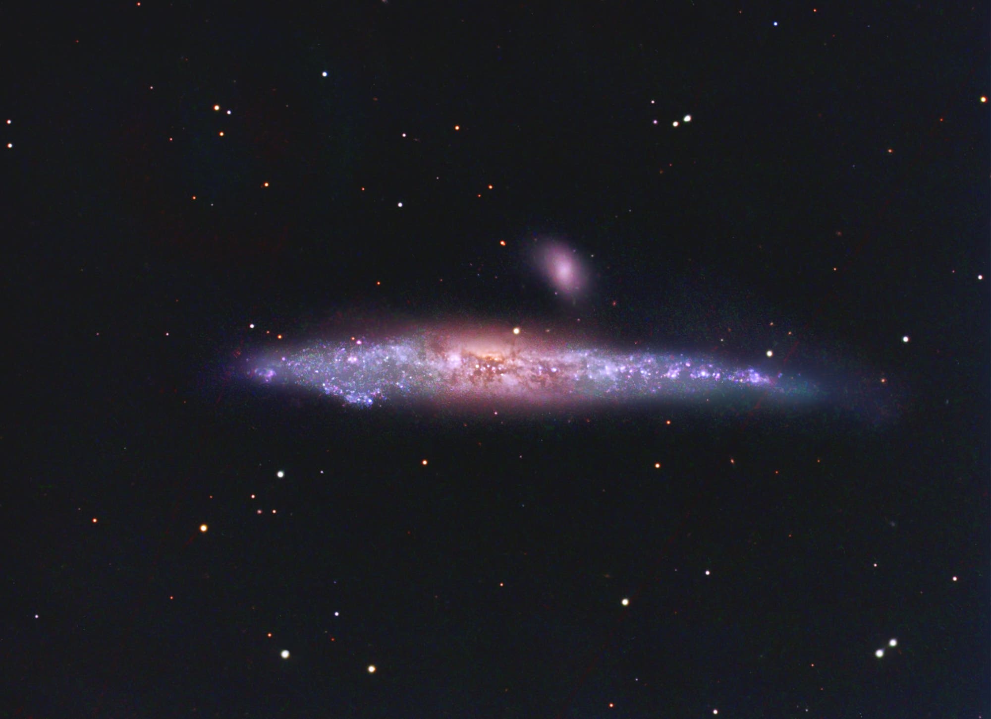 NGC 4631, Wal-Galaxie
