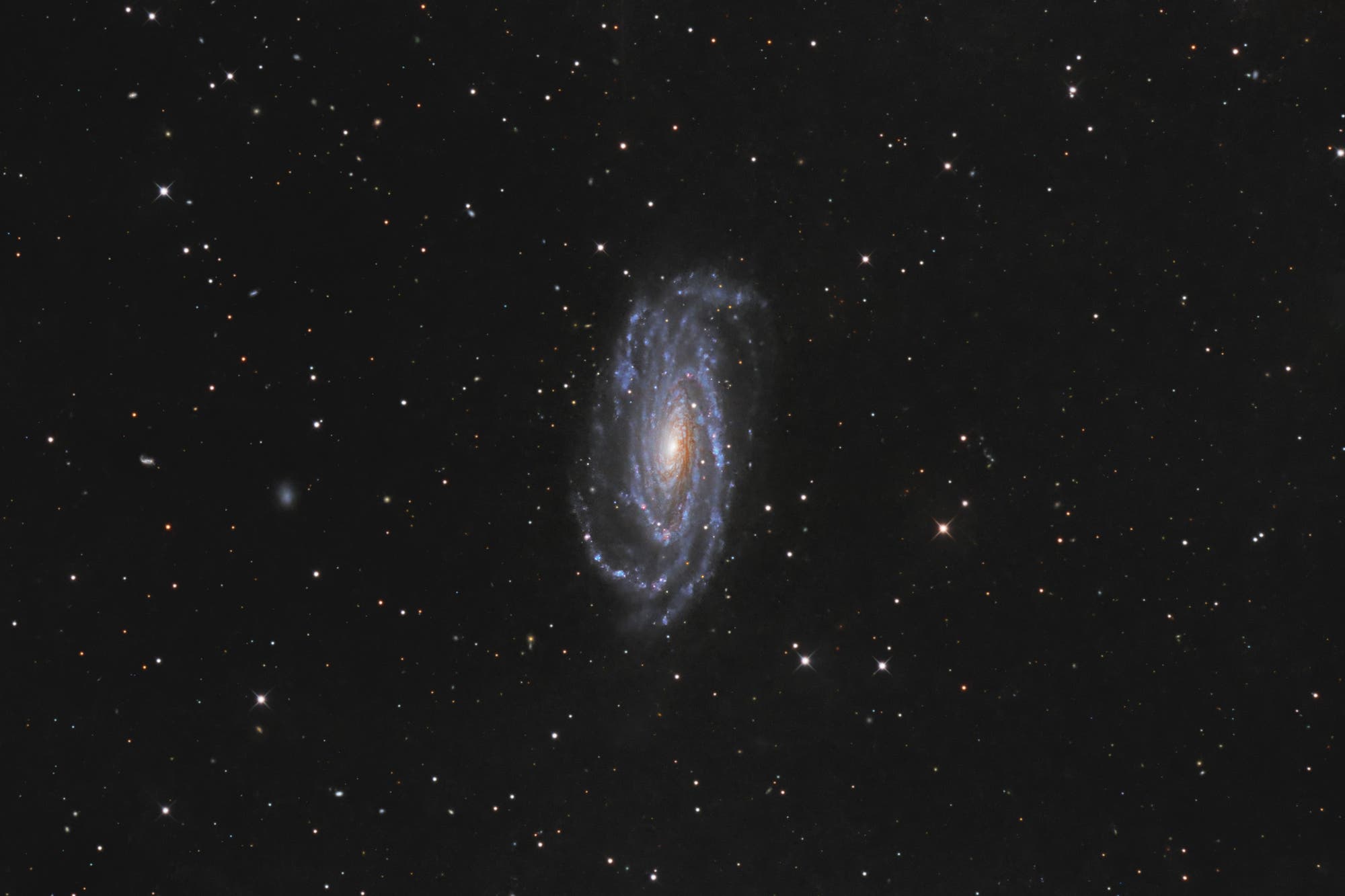 NGC 5033 mit dem NCT300