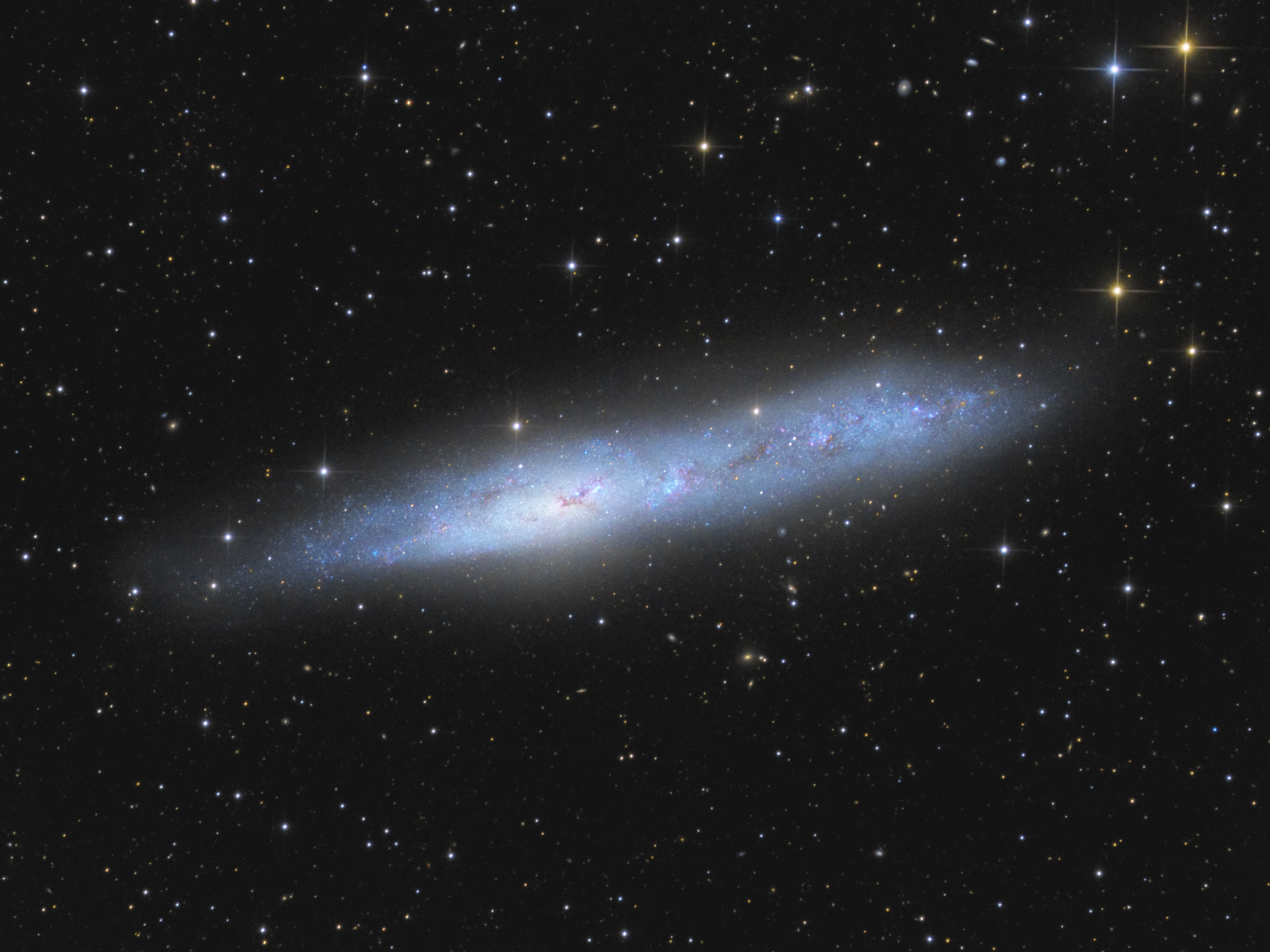 NGC 55