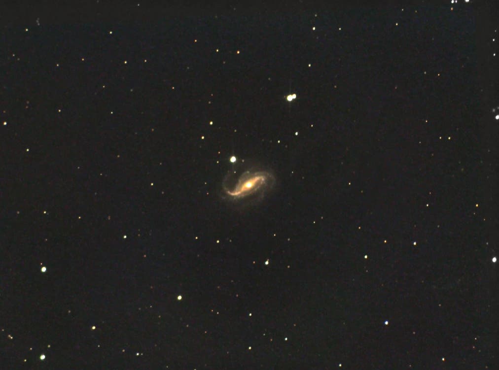 Endlich geschafft:     NGC 613   Balkenspirale mit AGN im Bildhauer